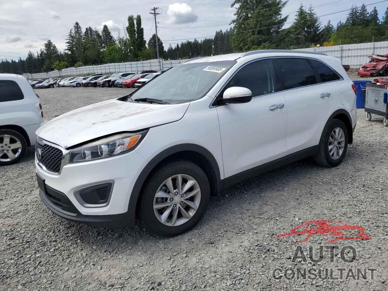KIA SORENTO 2016 - 5XYPG4A38GG113516