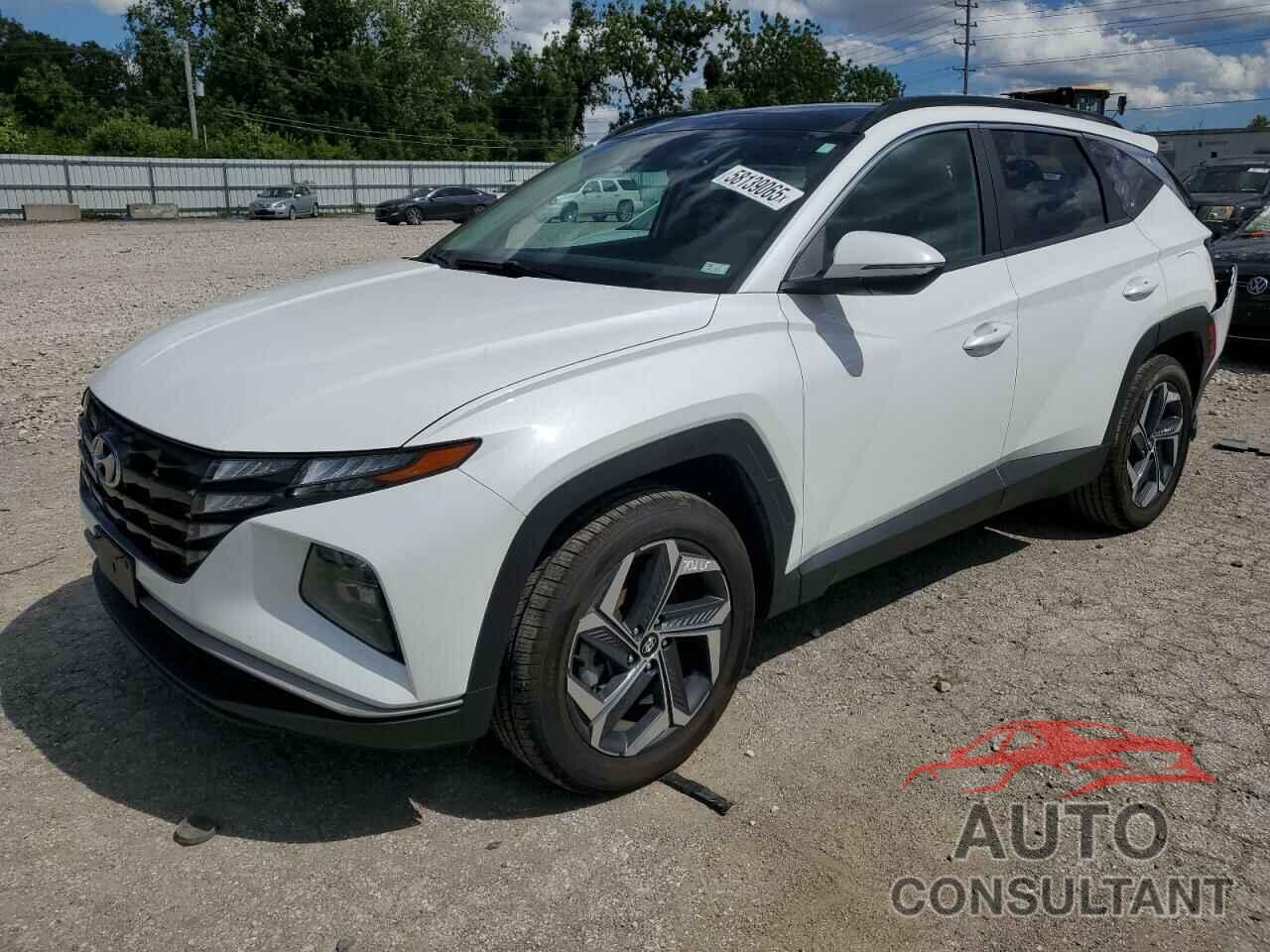 HYUNDAI TUCSON 2022 - KM8JFCA19NU017452