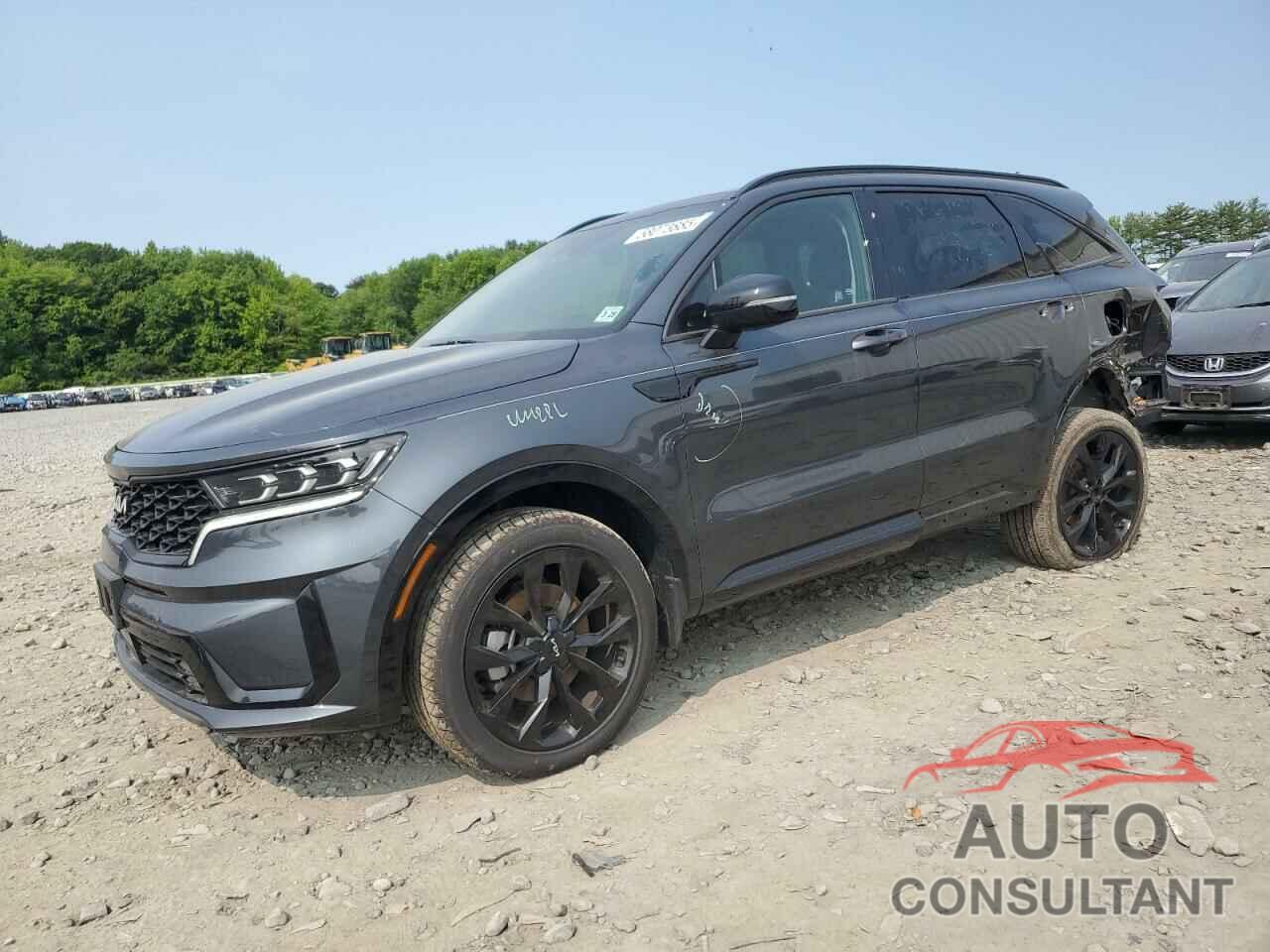 KIA SORENTO 2023 - 5XYRKDLF9PG248020