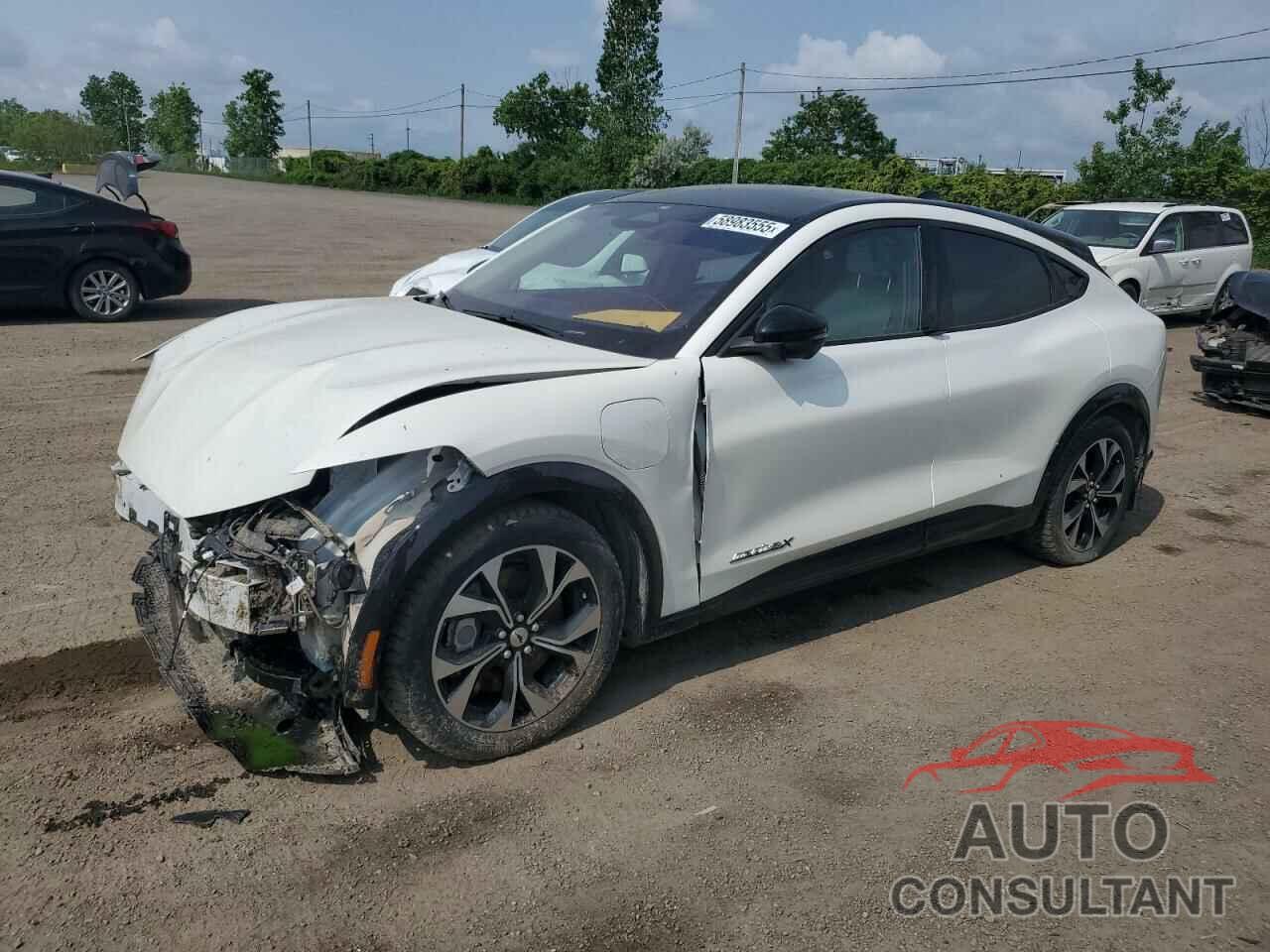 FORD MUSTANG 2022 - 3FMTK3SU3NMA53249