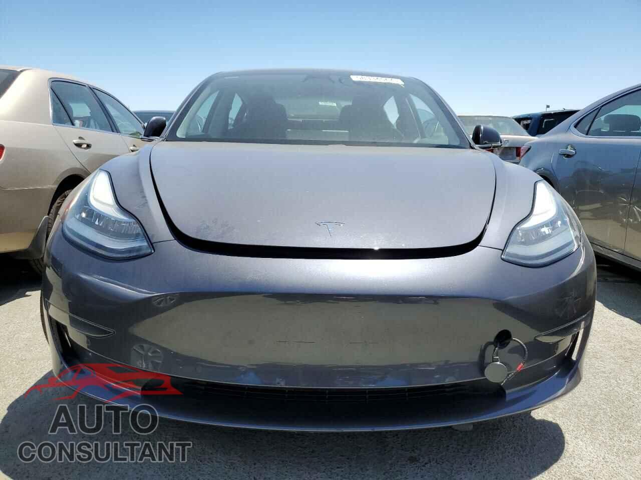 TESLA MODEL 3 2019 - 5YJ3E1EA2KF300844