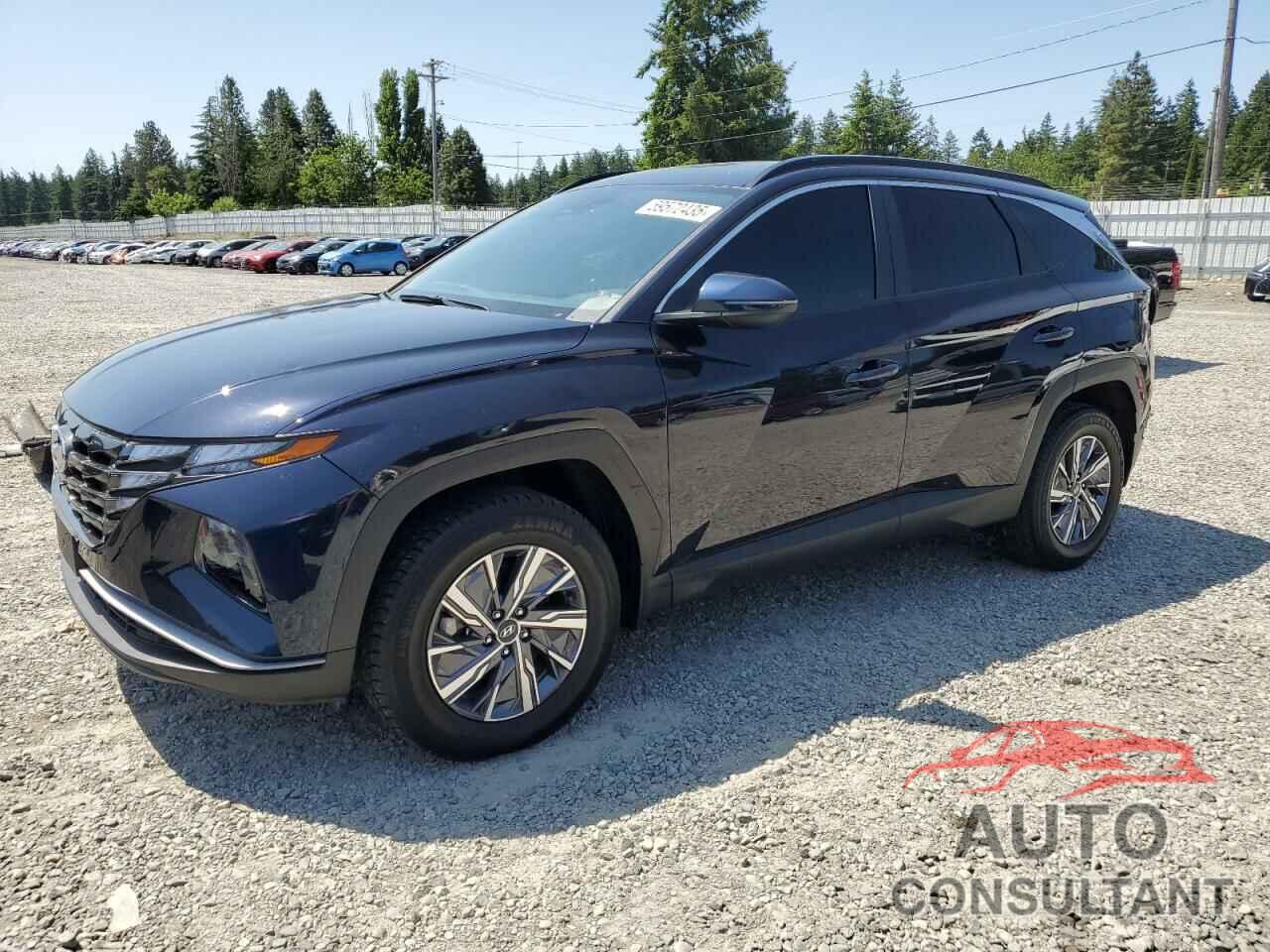 HYUNDAI TUCSON 2022 - KM8JBCA18NU078836