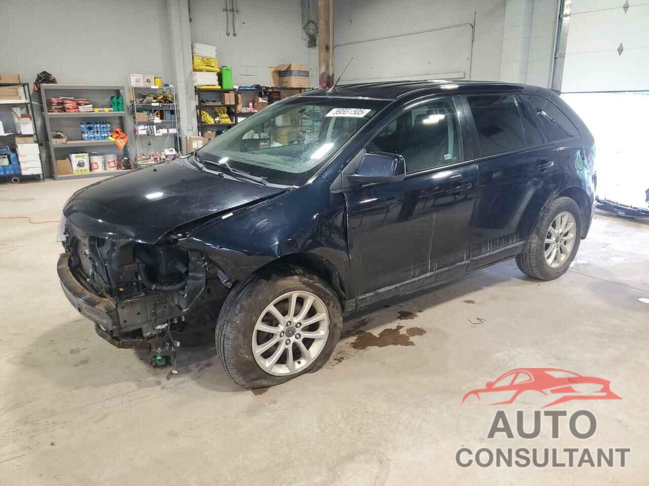FORD EDGE 2009 - 2FMDK48C59BA51471