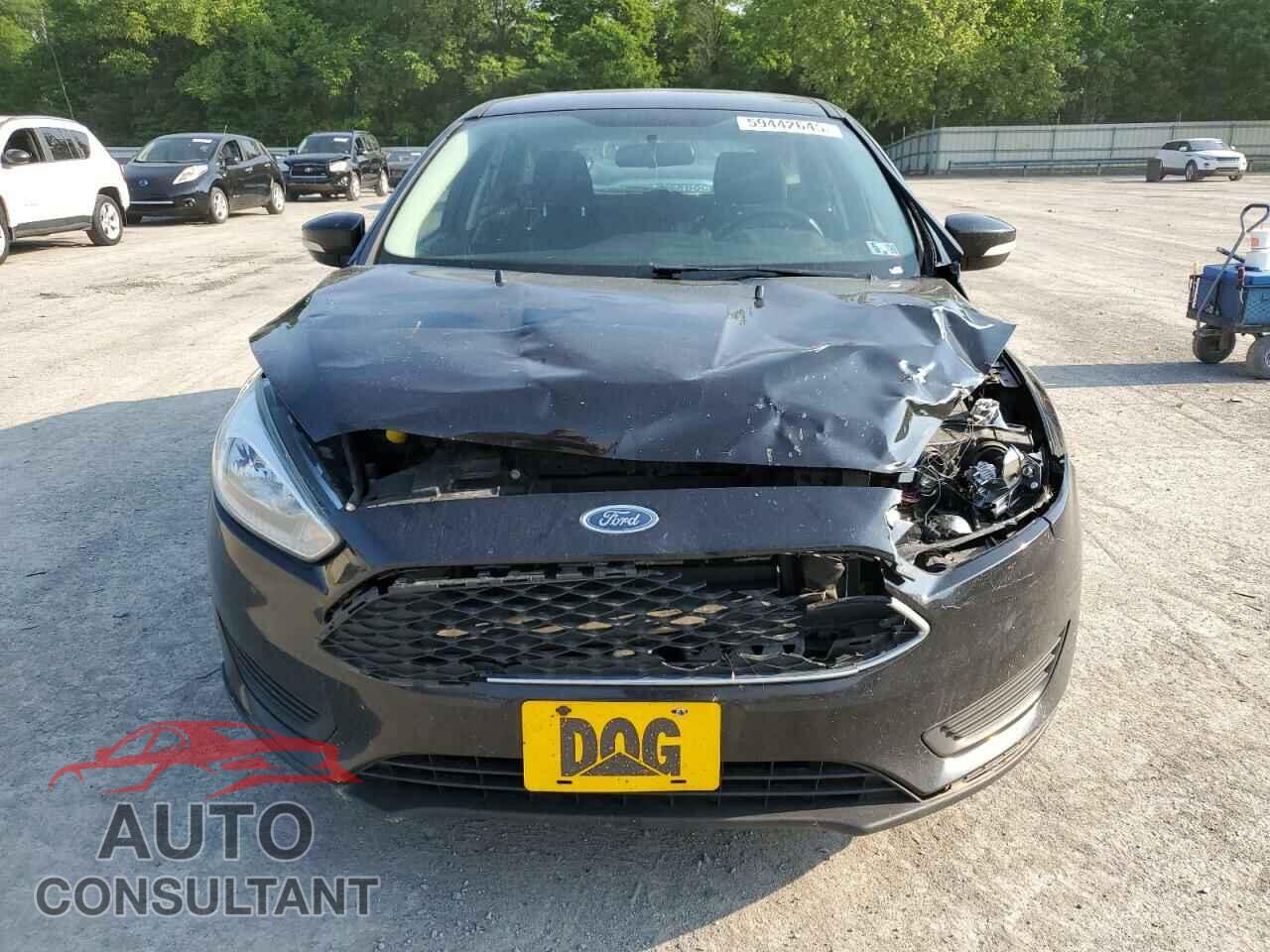 FORD FOCUS 2016 - 1FADP3K21GL243439