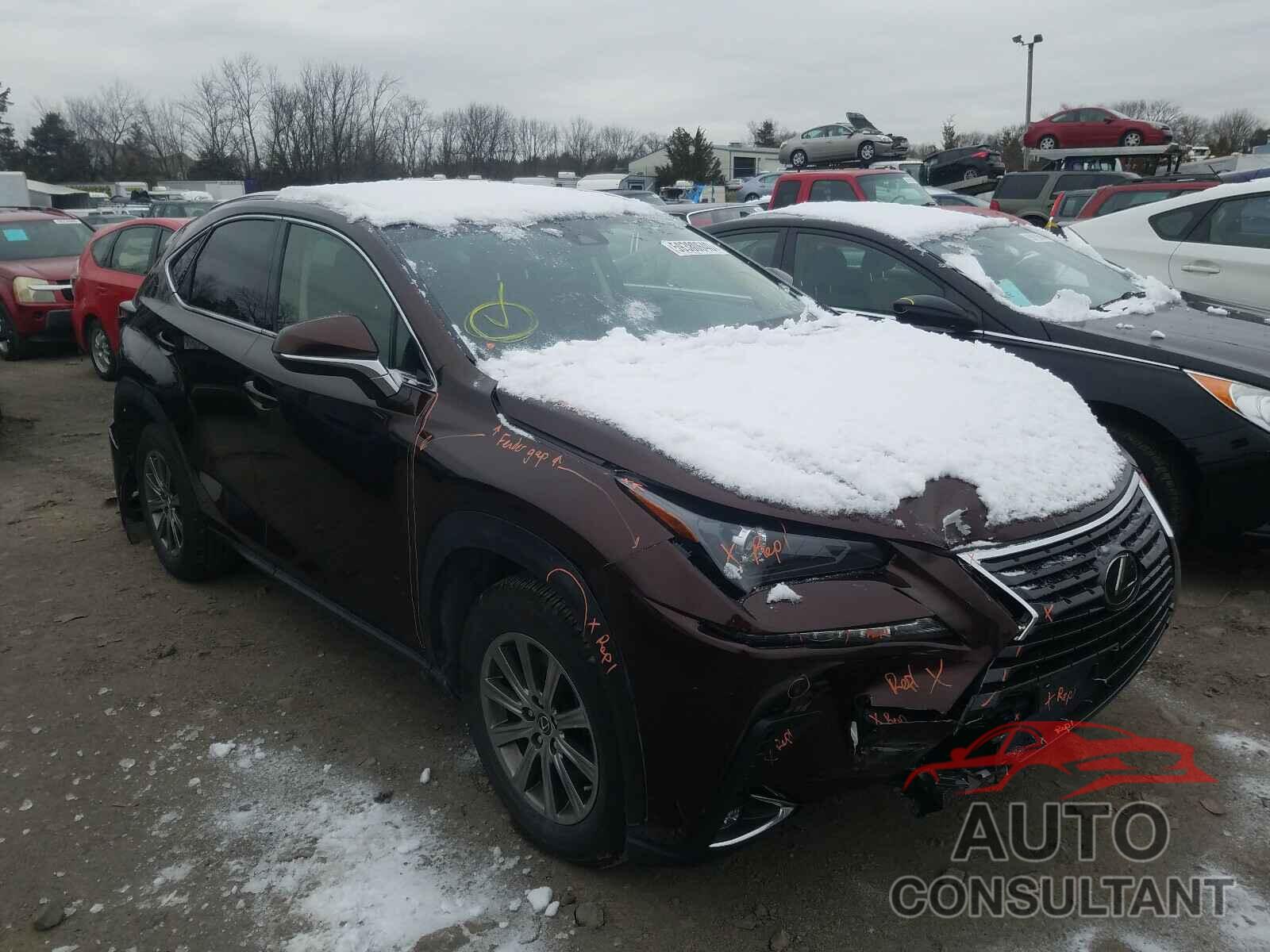 LEXUS NX 2019 - JTJBARBZ0K2208180