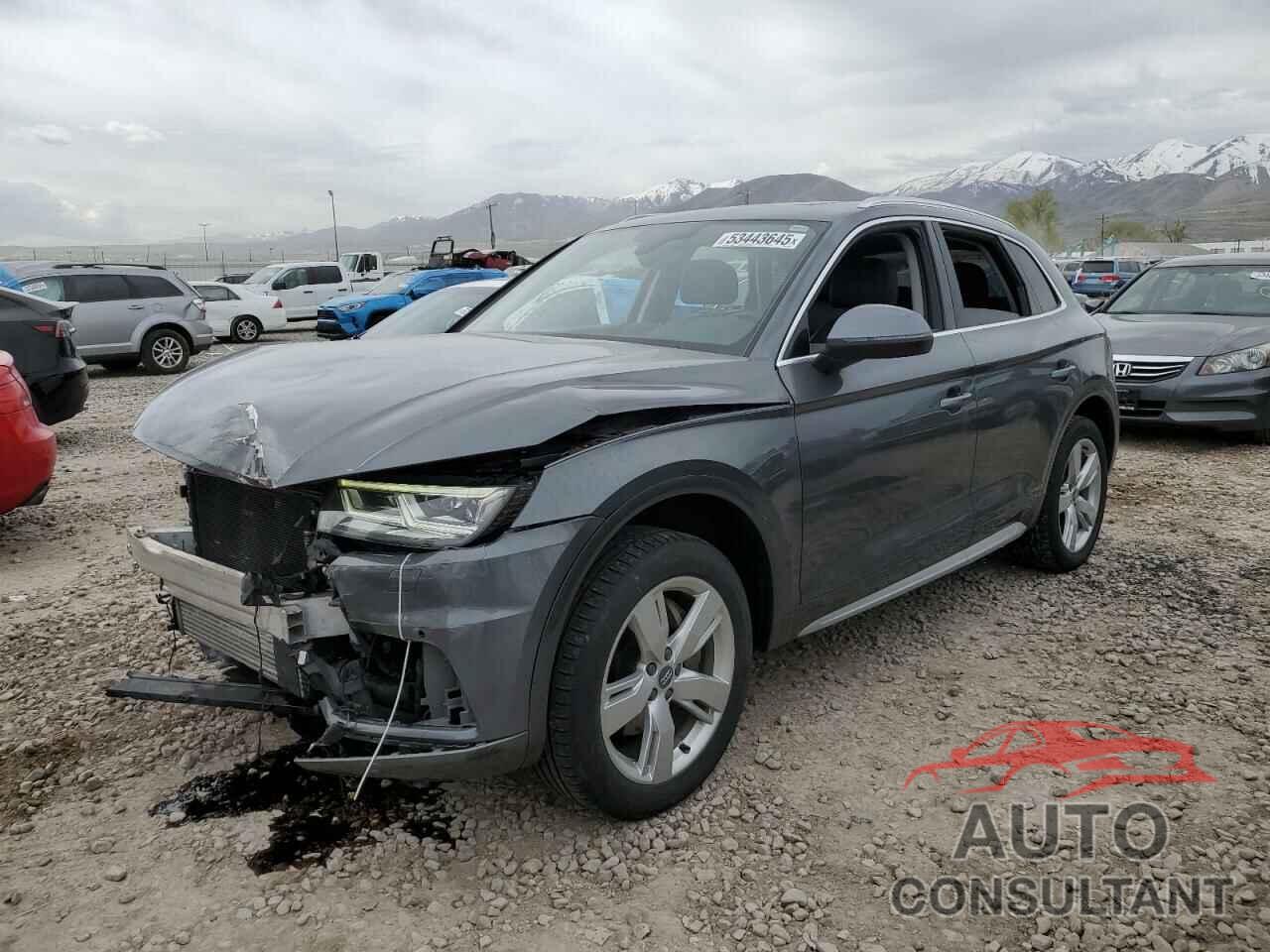 AUDI Q5 2019 - WA1BNAFYXK2028385
