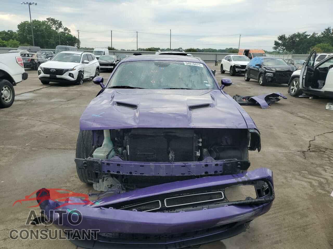 DODGE CHALLENGER 2019 - 2C3CDZGG5KH624873
