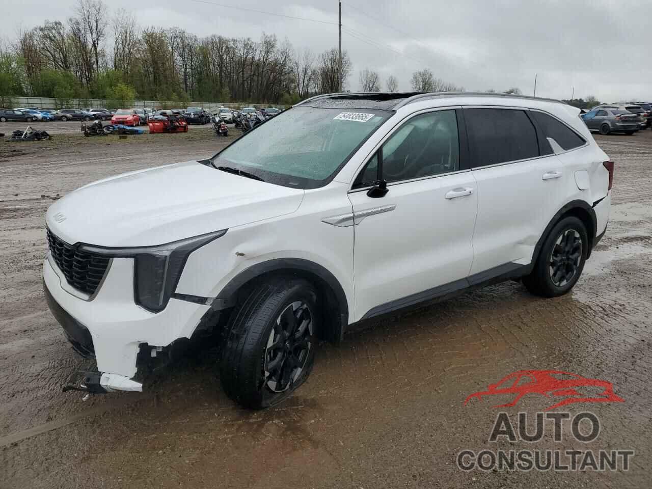 KIA SORENTO 2024 - 5XYRL4JC6RG288094
