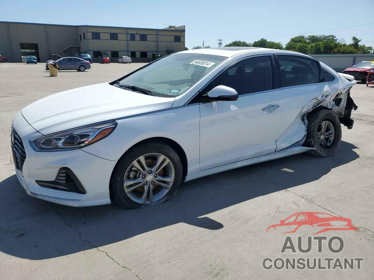 HYUNDAI SONATA 2018 - 5NPE34AF1JH619573