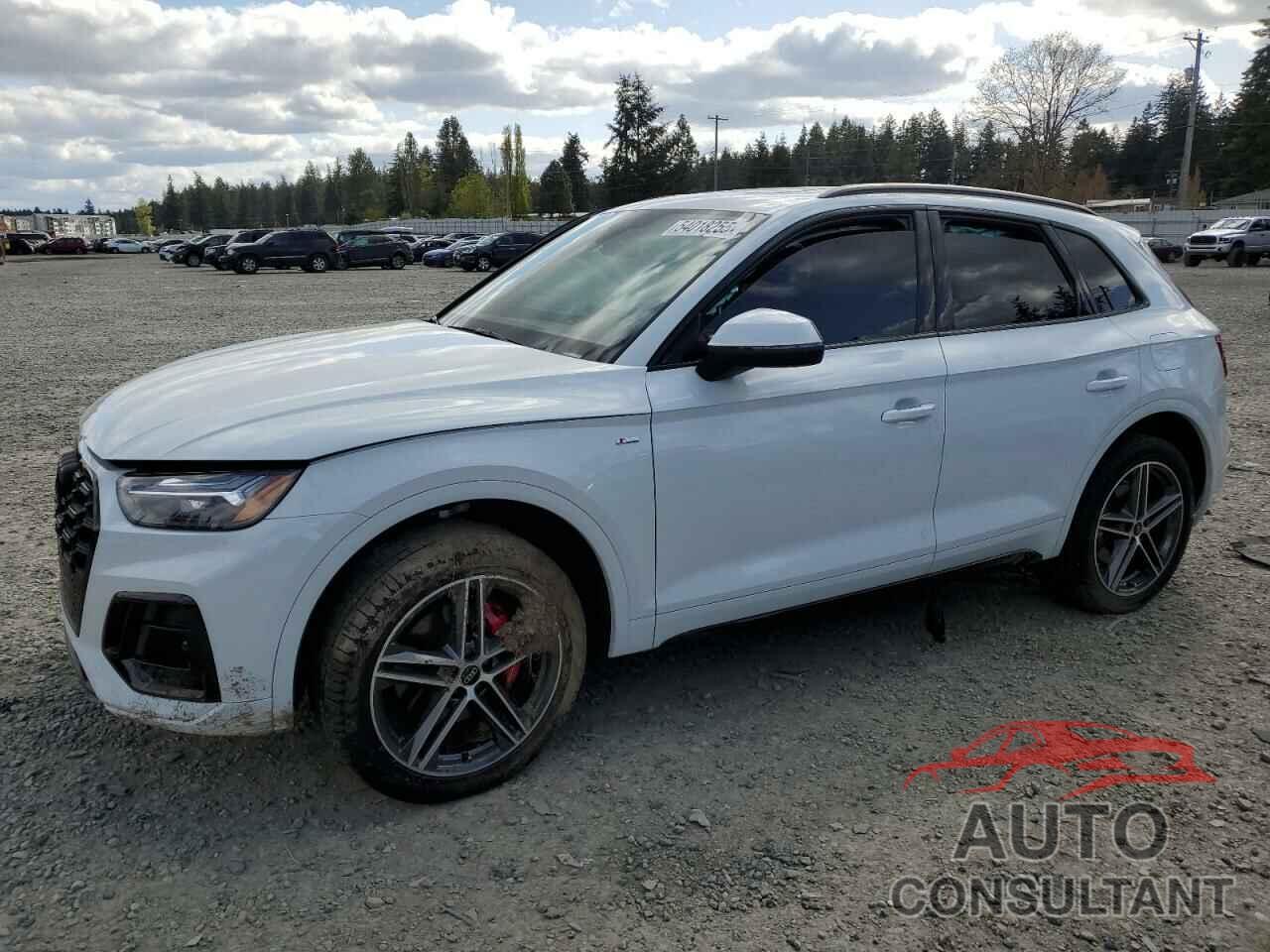 AUDI Q5 2024 - WA1E2AFY6R2062596