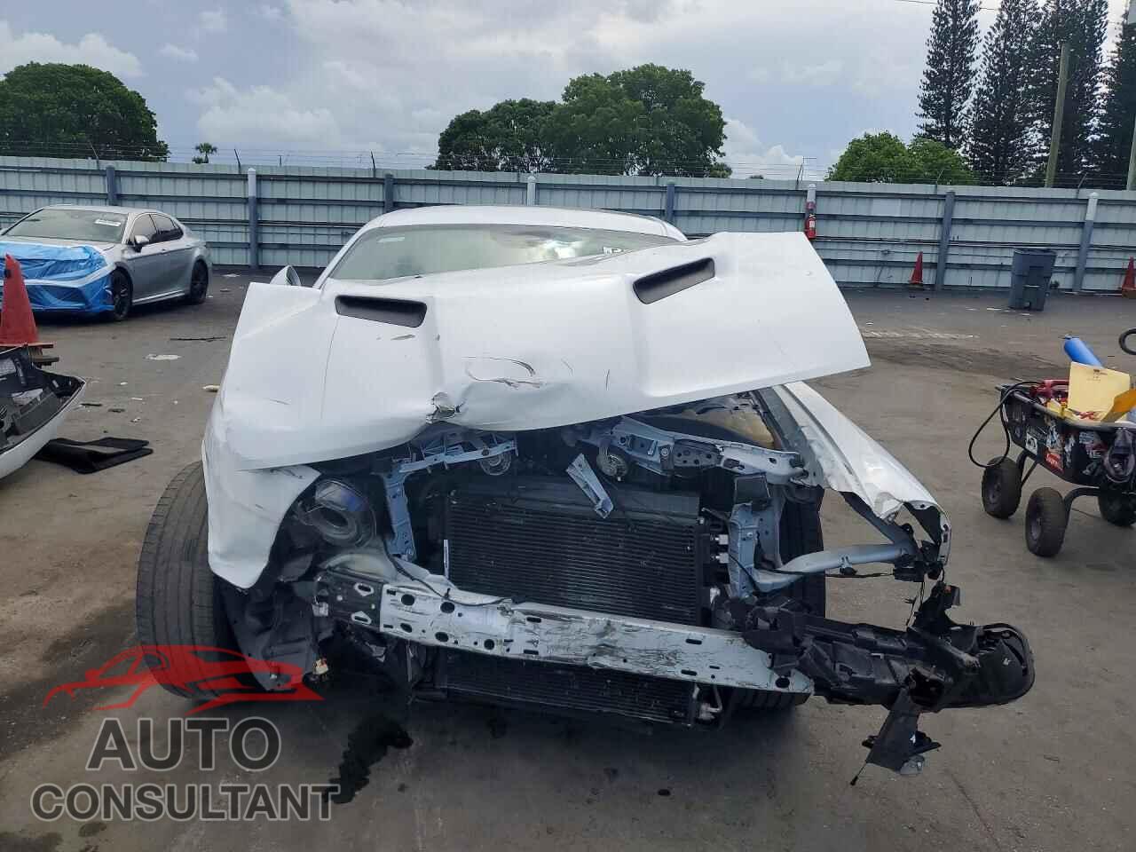 DODGE CHALLENGER 2019 - 2C3CDZAG0KH669468