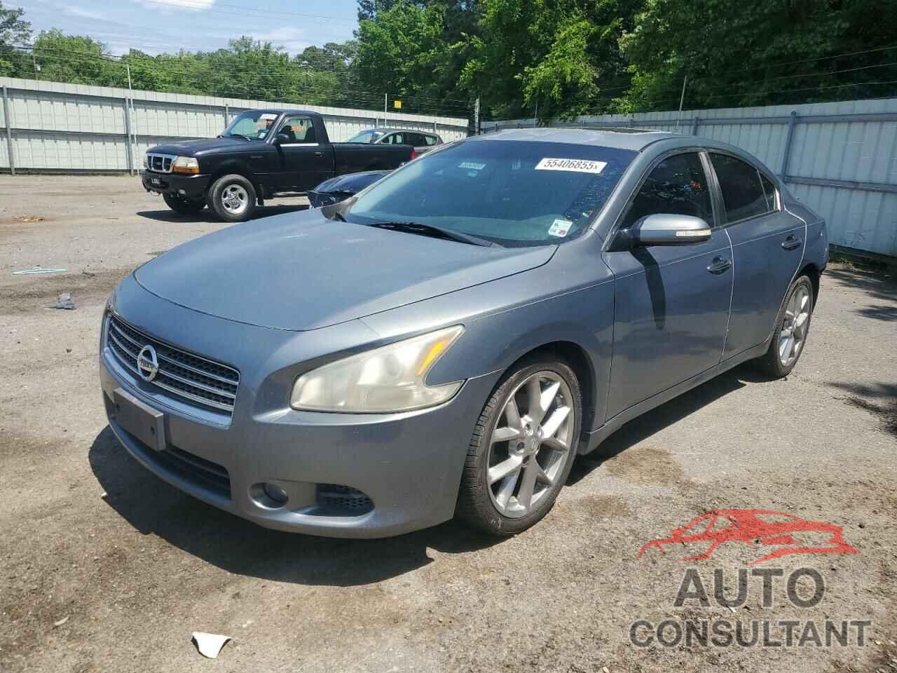 NISSAN MAXIMA 2010 - 1N4AA5AP5AC872142