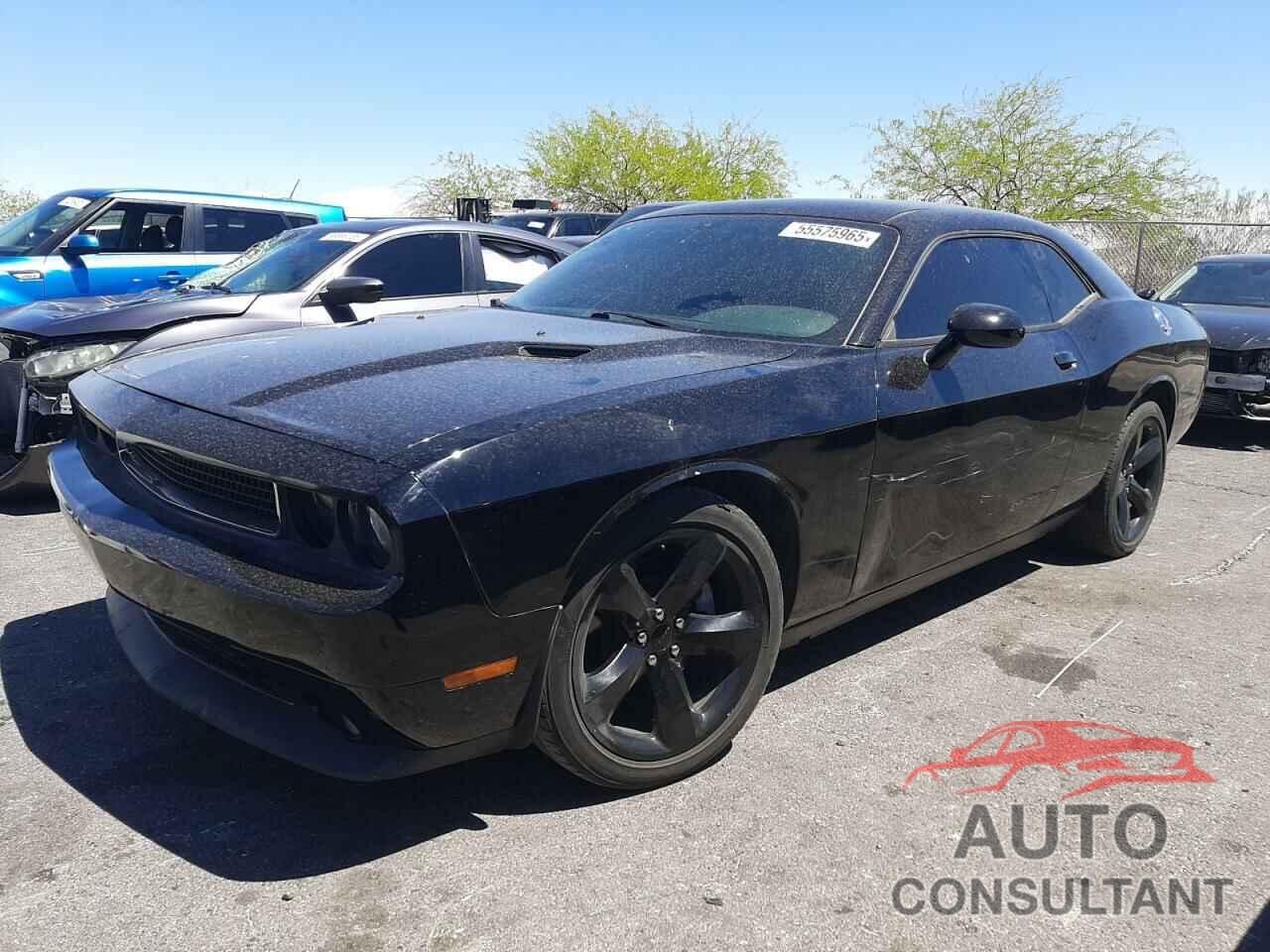DODGE CHALLENGER 2014 - 2C3CDYAG2EH294715