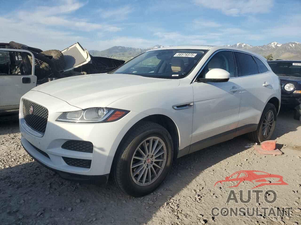 JAGUAR F-PACE 2019 - SADCS2FX3KA391153