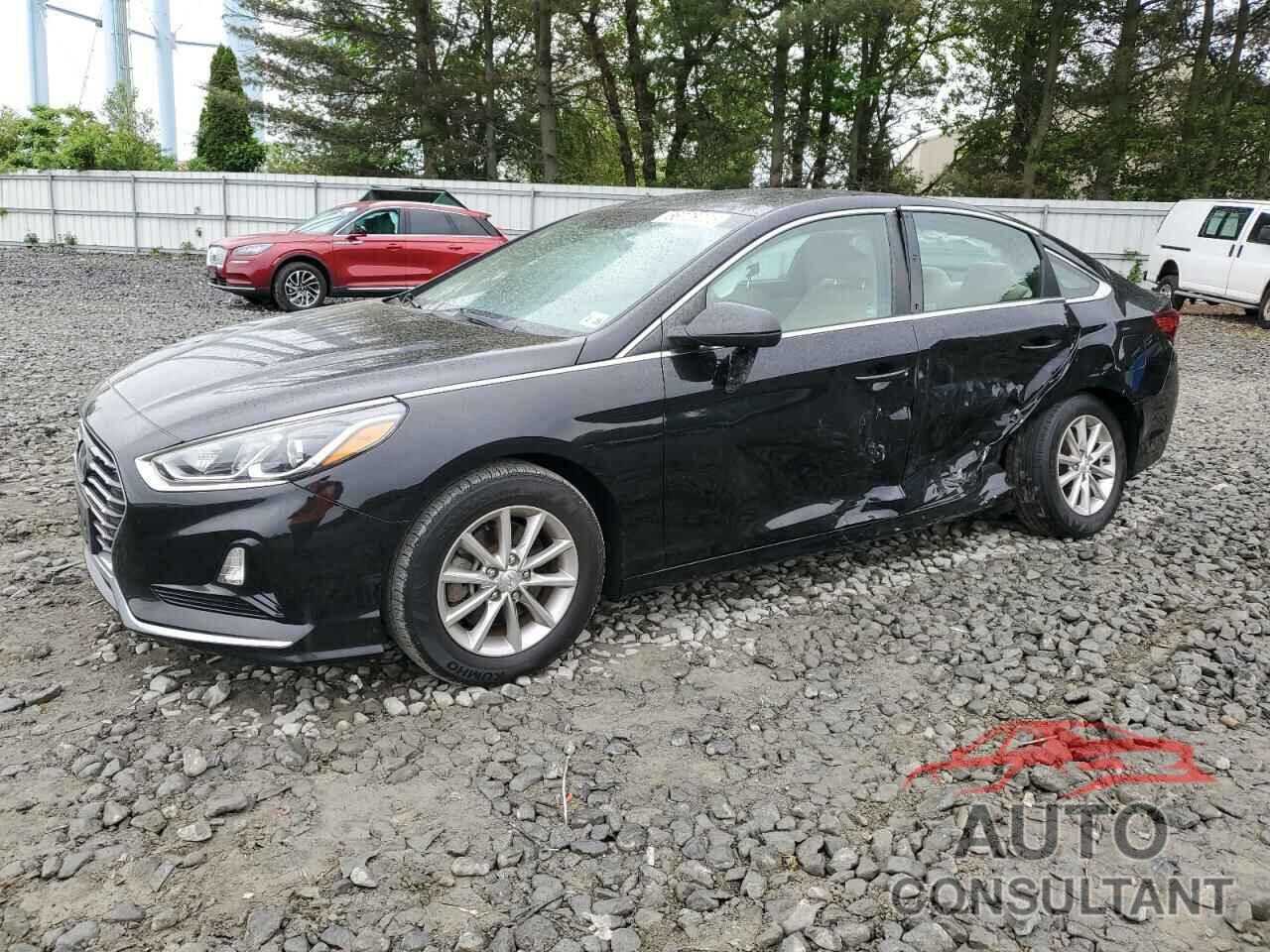 HYUNDAI SONATA 2019 - 5NPE24AF2KH789851