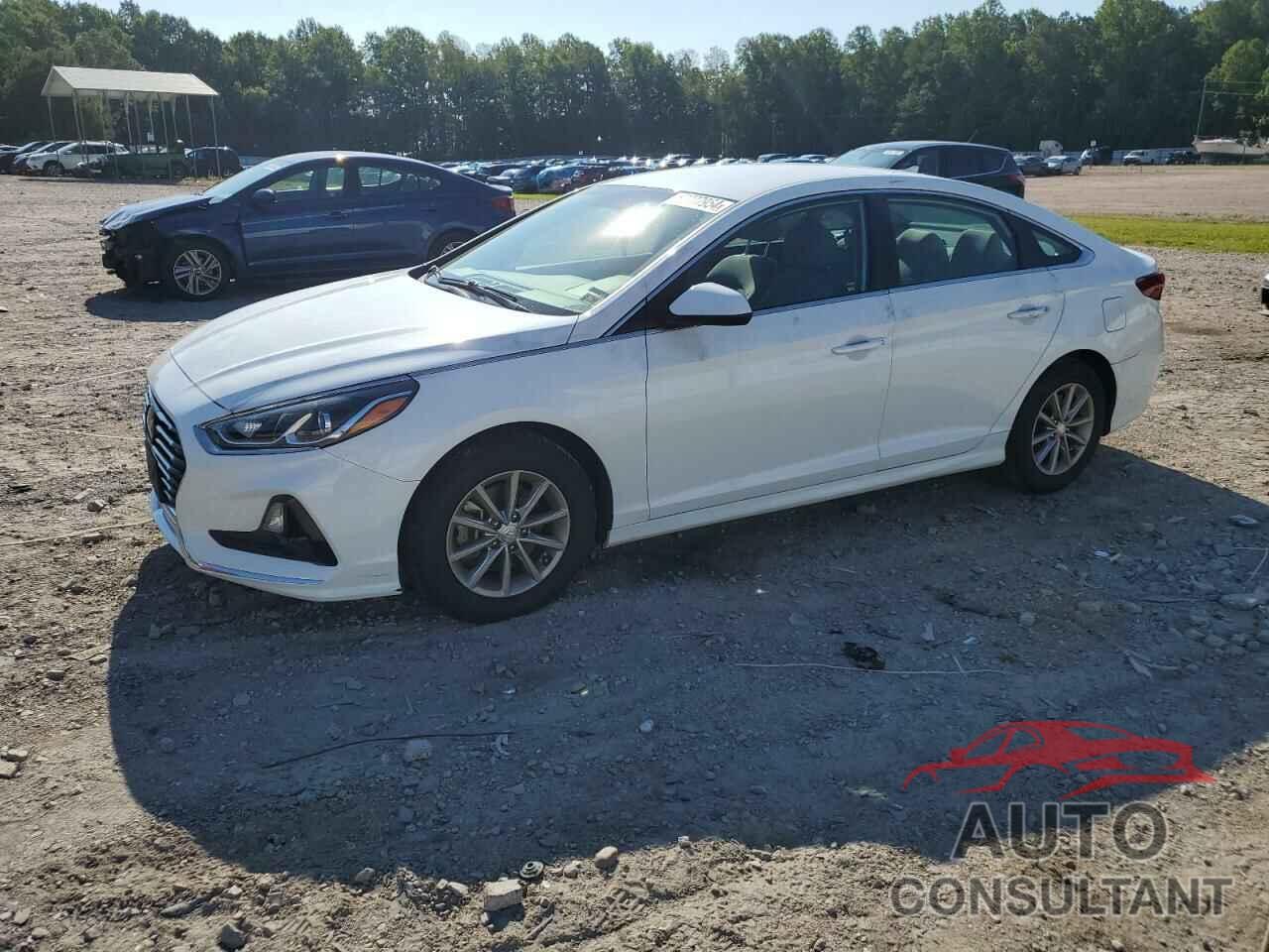 HYUNDAI SONATA 2019 - 5NPE24AF5KH759579