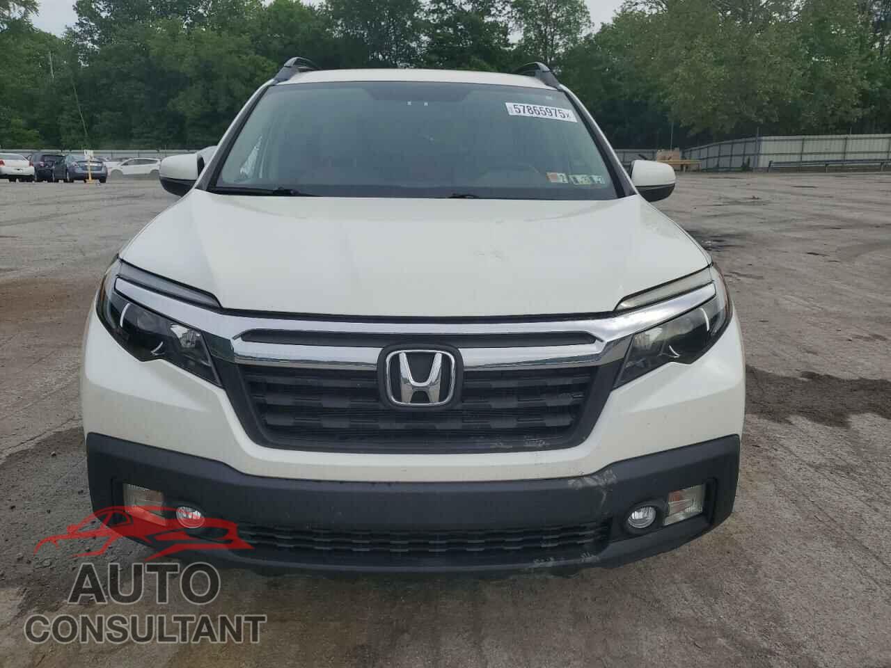HONDA RIDGELINE 2017 - 5FPYK3F59HB018180