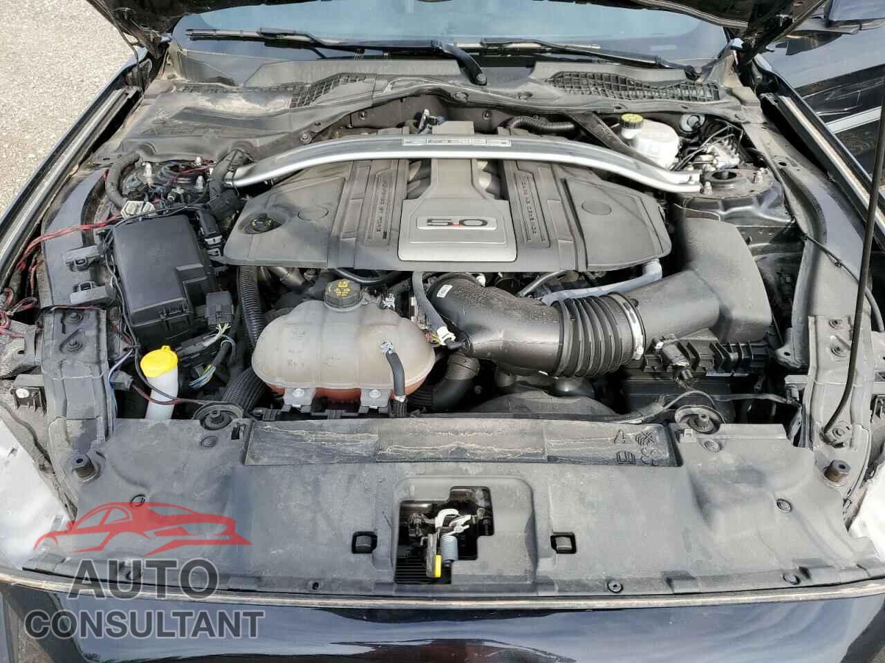 FORD MUSTANG 2019 - 1FA6P8CF2K5154936