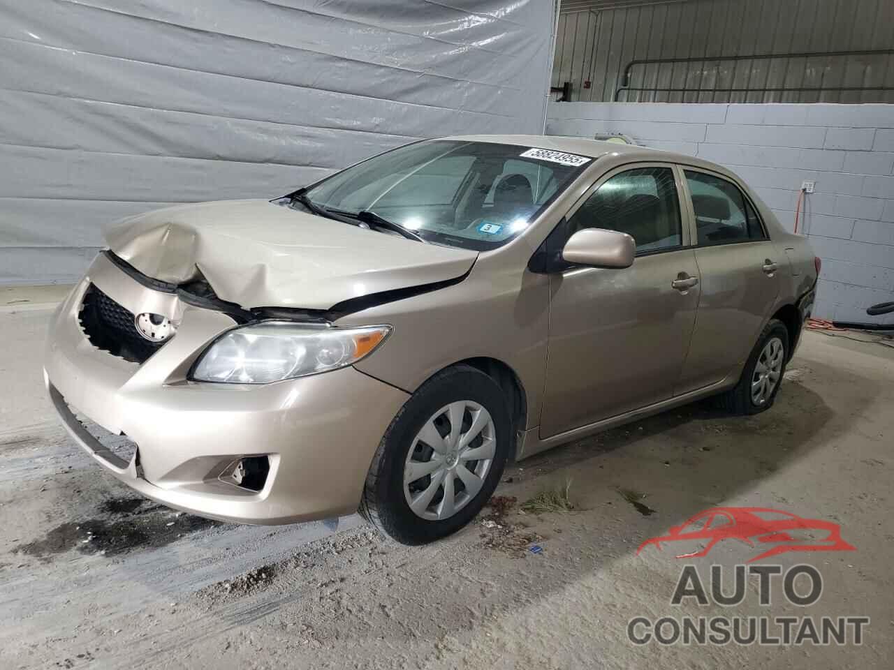 TOYOTA COROLLA 2010 - 2T1BU4EE4AC420408