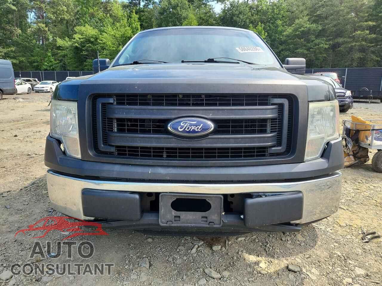 FORD F150 2013 - 1FTFX1CF5DFC95904