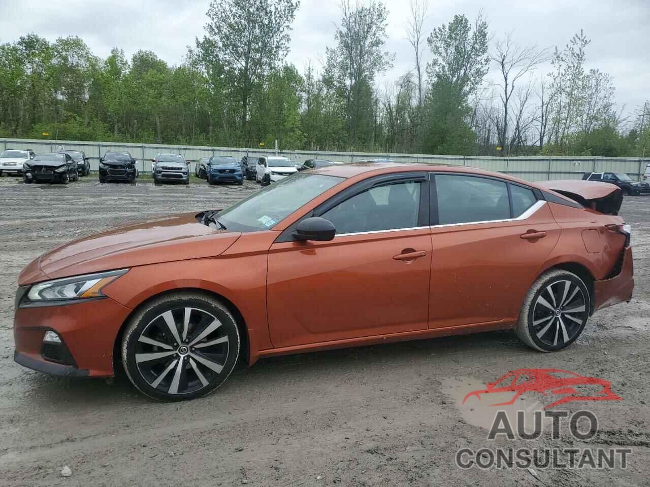 NISSAN ALTIMA 2019 - 1N4BL4CW8KC218752
