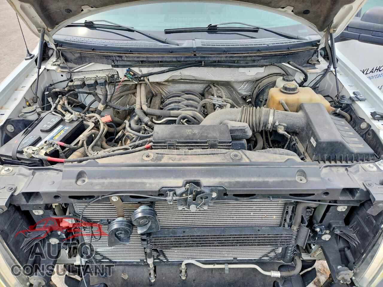 FORD F150 2012 - 1FTFX1CF6CFB87645