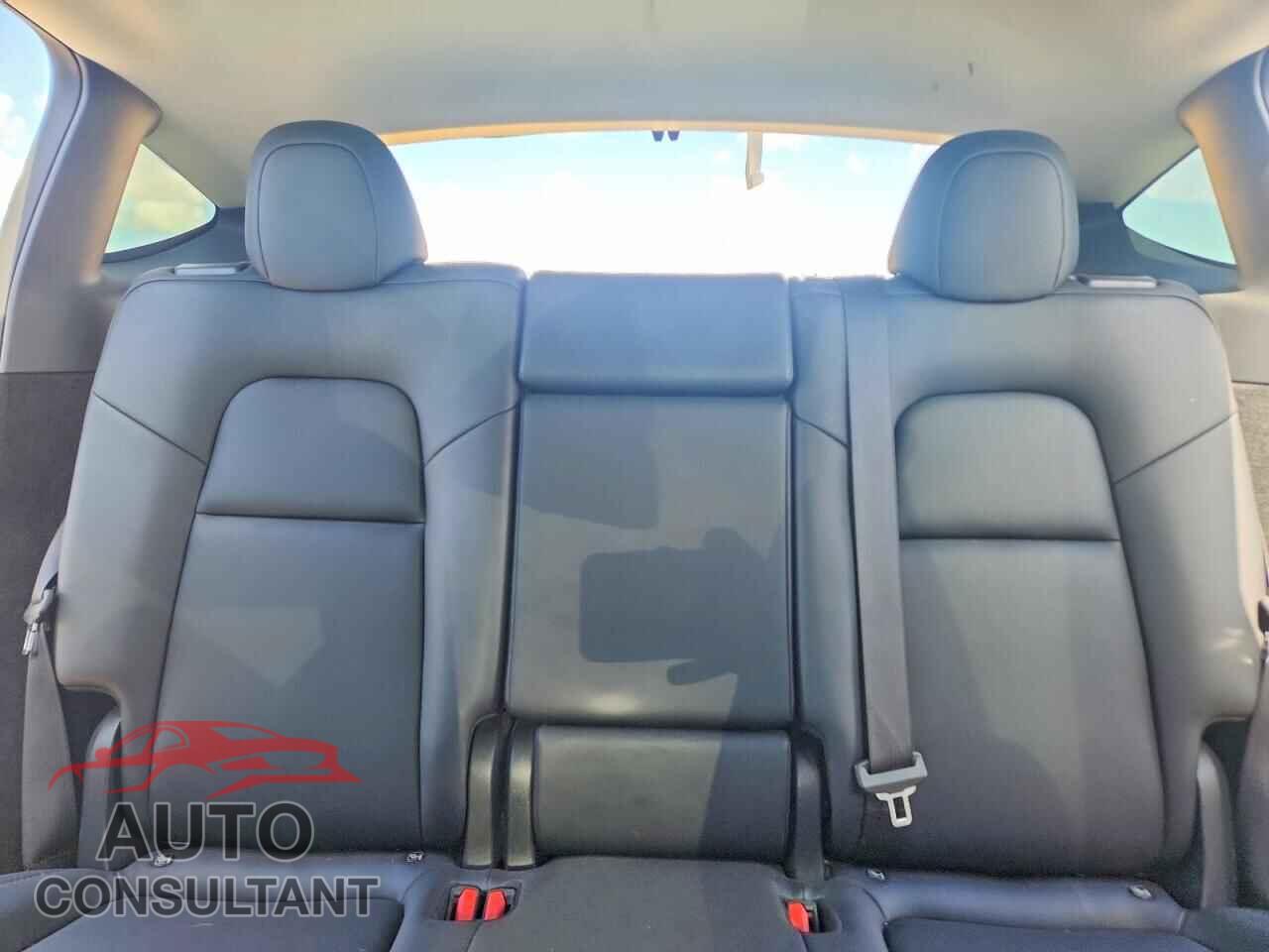 TESLA MODEL Y 2024 - 7SAYGDED0RF041831