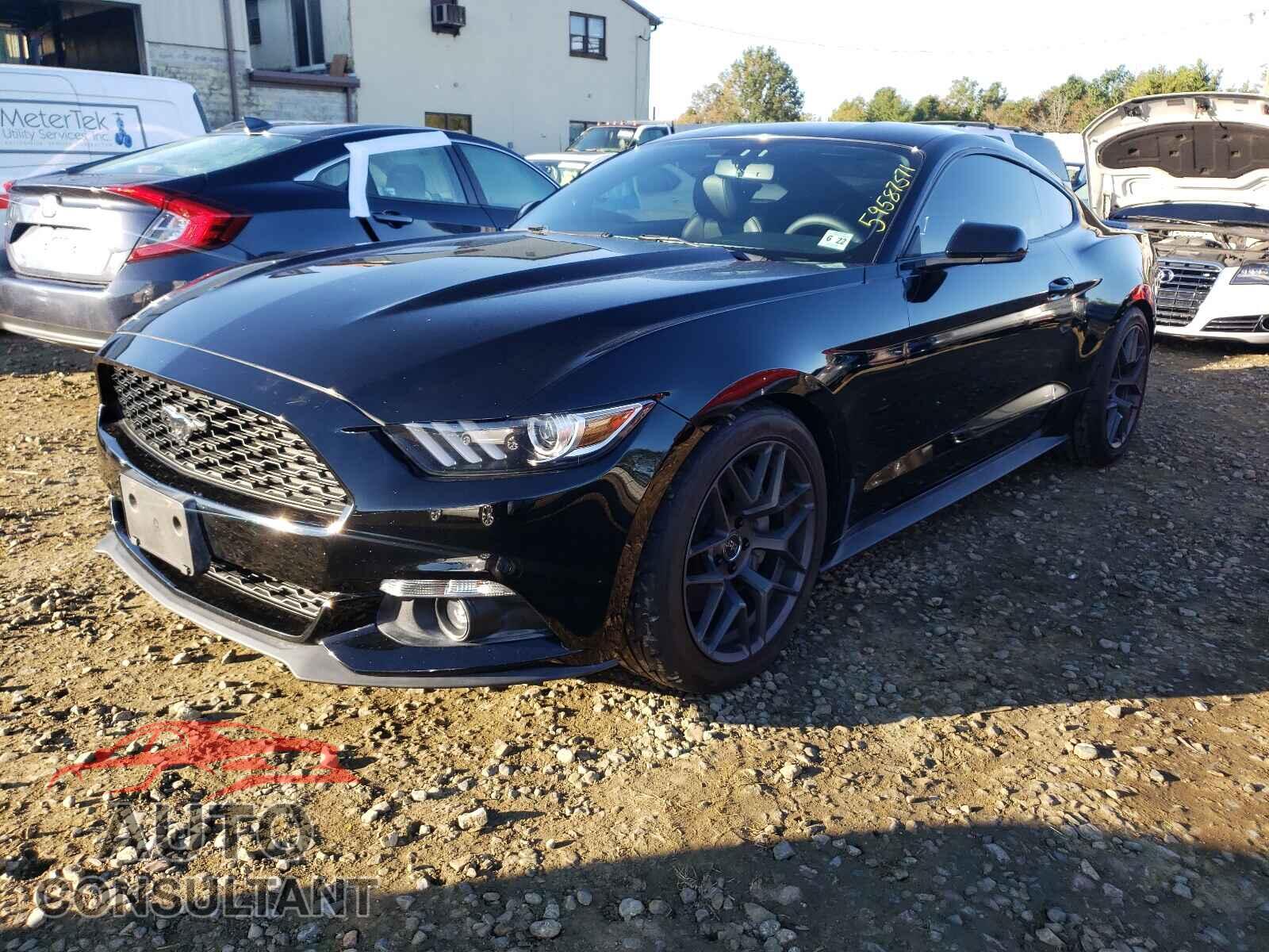 FORD MUSTANG 2017 - 1FA6P8TH8H5262617