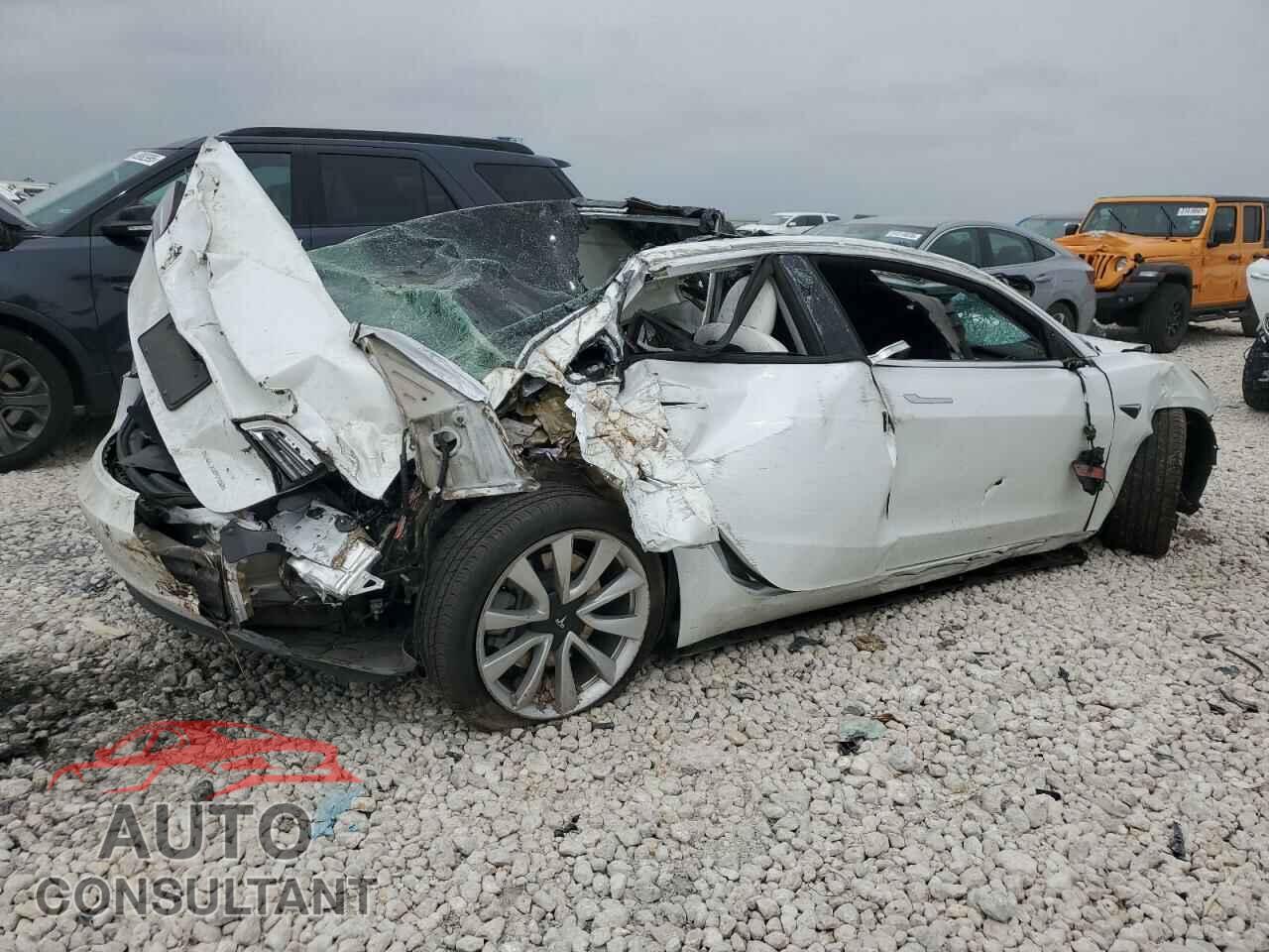 TESLA MODEL 3 2019 - 5YJ3E1EB2KF513401