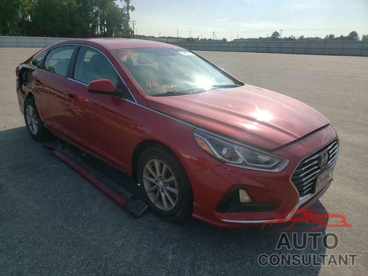 HYUNDAI SONATA 2019 - 5NPE24AF9KH744521