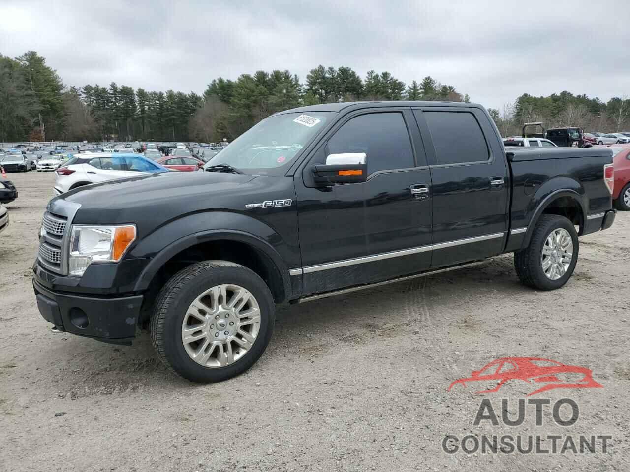 FORD F-150 2010 - 1FTFW1EV6AFD59676