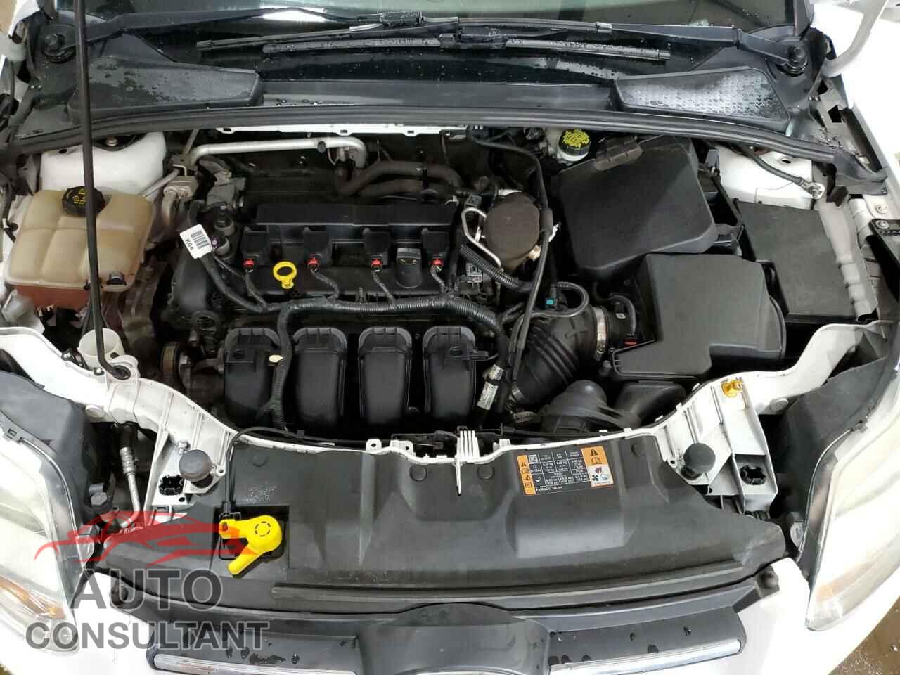 FORD FOCUS 2014 - 1FADP3F22EL424721