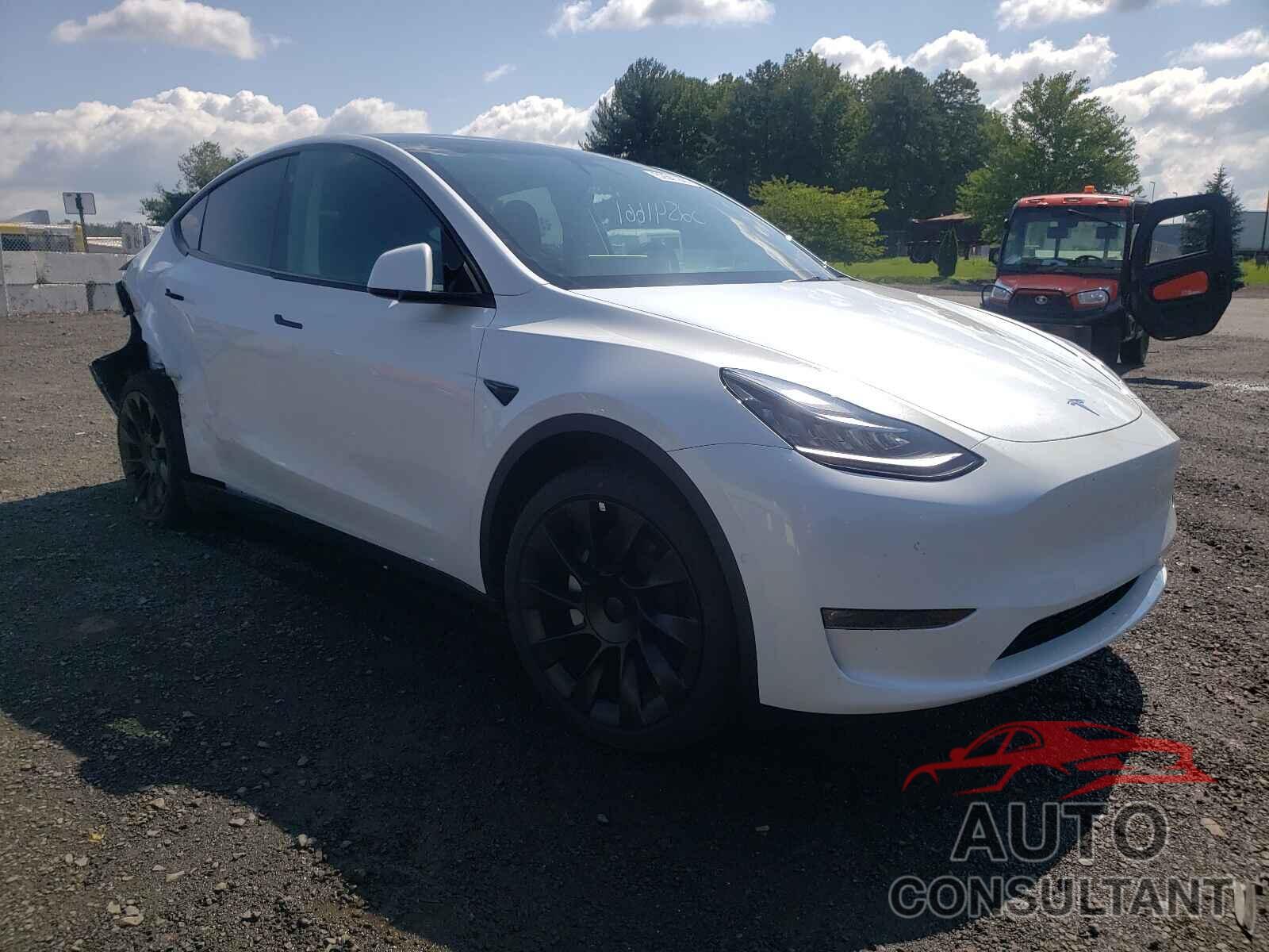 TESLA MODEL Y 2021 - 5YJYGDEE2MF119900