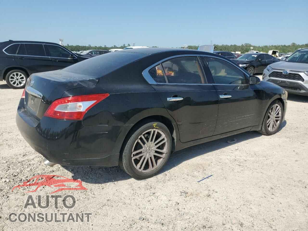 NISSAN MAXIMA 2009 - 1N4AA51E69C856493