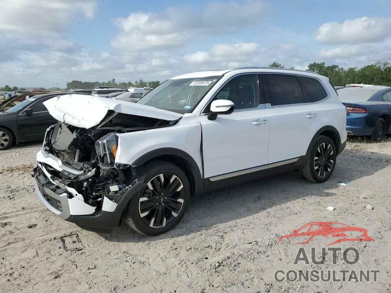 KIA TELLURIDE 2024 - 5XYP54GC7RG427657