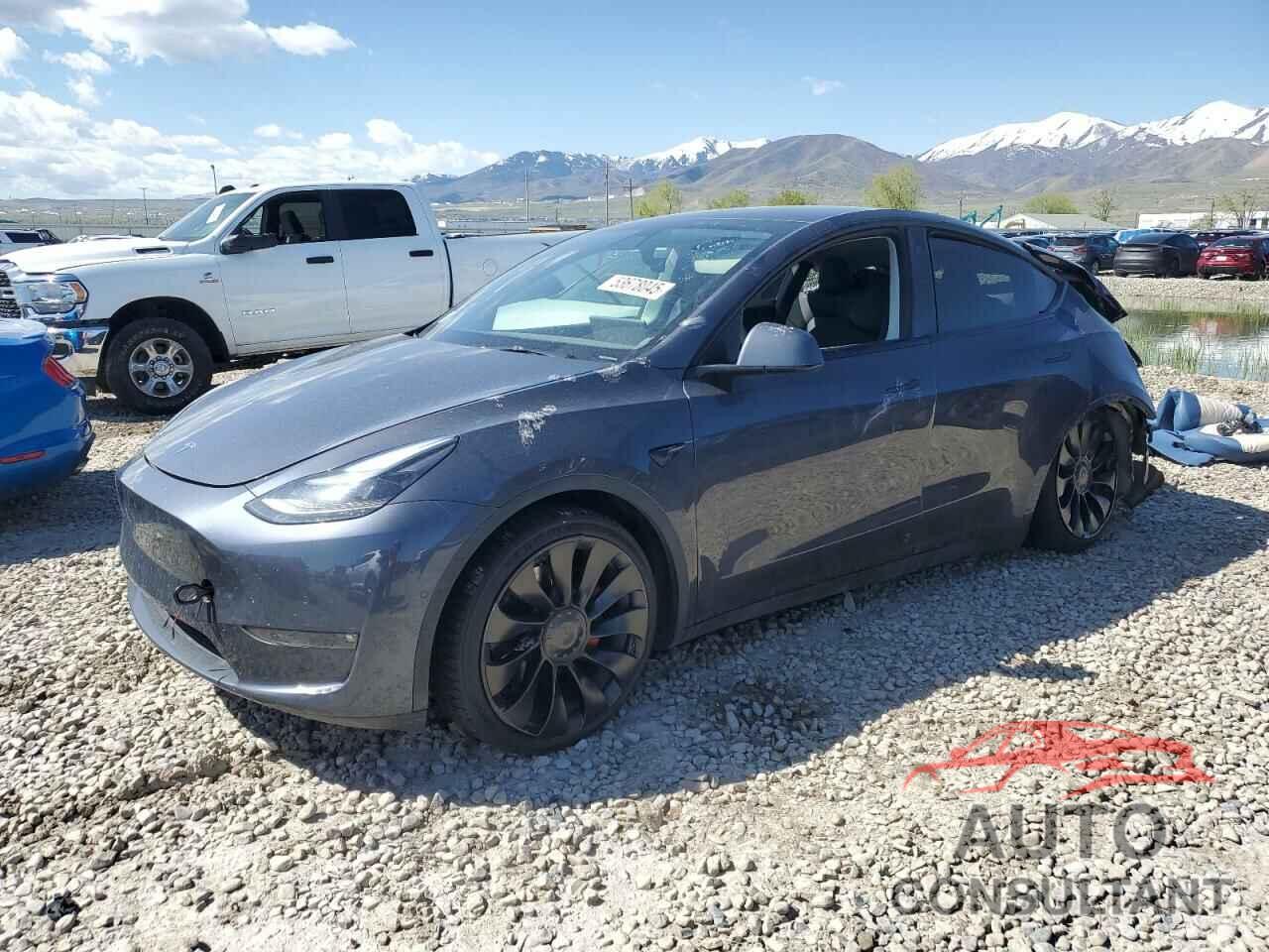 TESLA MODEL Y 2022 - 7SAYGDEF1NF466938