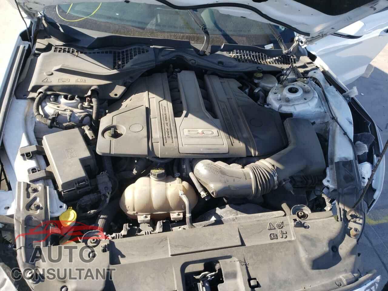 FORD MUSTANG 2018 - 1FA6P8CF1J5156613