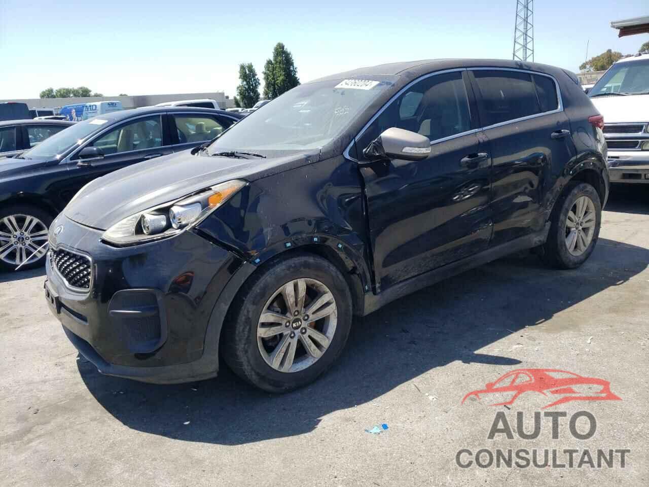 KIA SPORTAGE 2017 - KNDPM3AC3H7052240