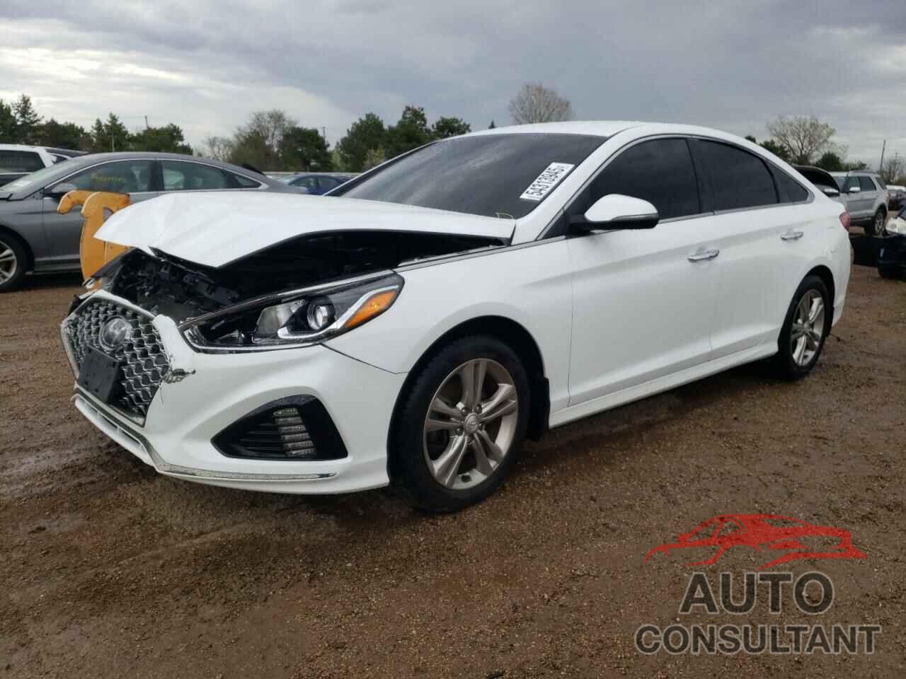HYUNDAI SONATA 2019 - 5NPE34AFXKH807395