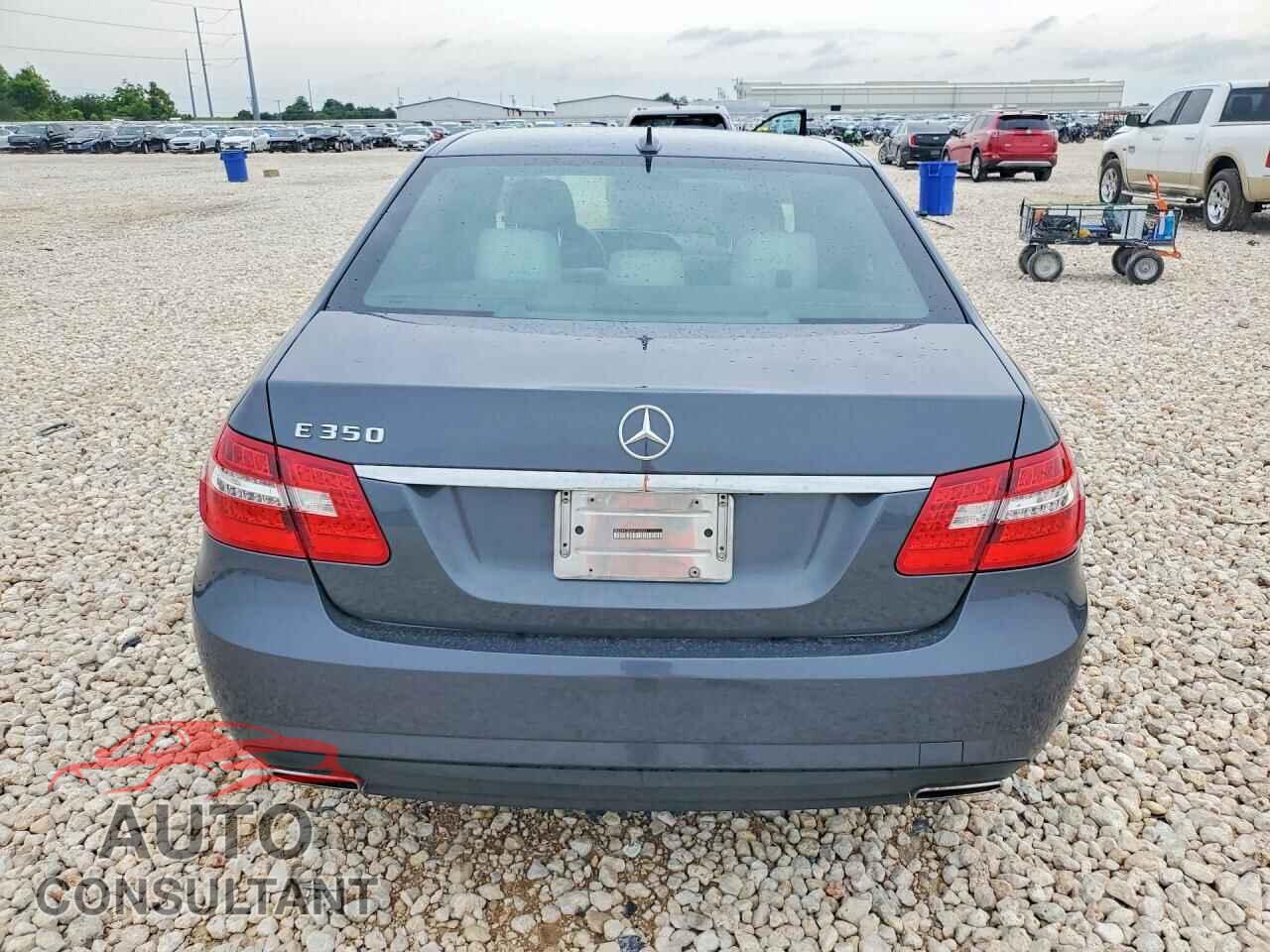 MERCEDES-BENZ E-CLASS 2010 - WDDHF5GB3AA102786