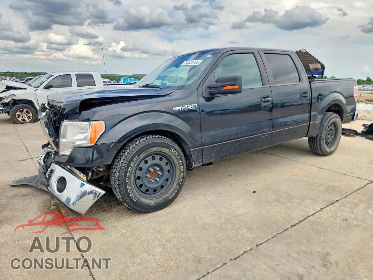 FORD All Models 2010 - 1FTEW1C83AFD17829