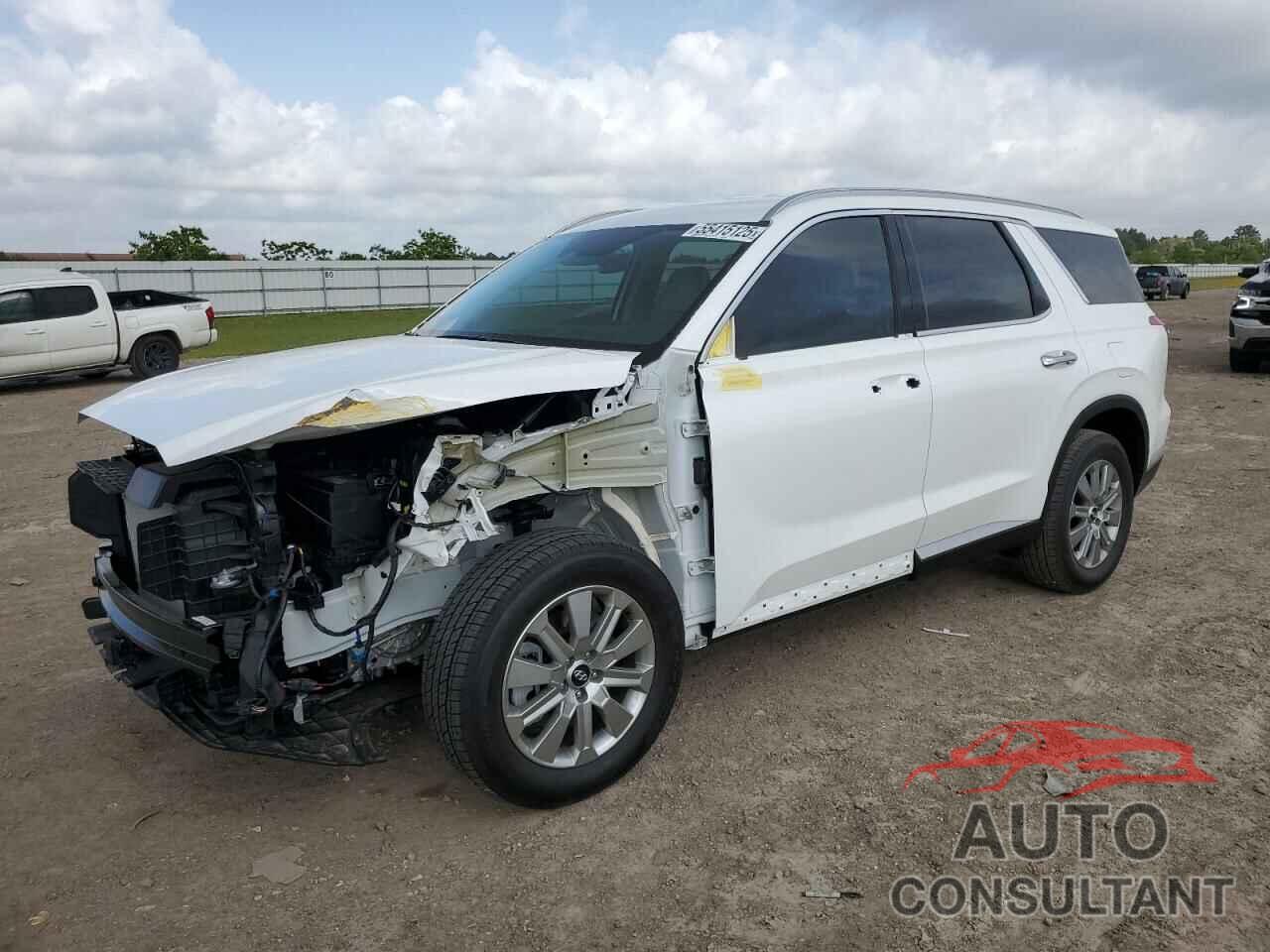 HYUNDAI PALISADE 2025 - KM8R24GE0SU892851