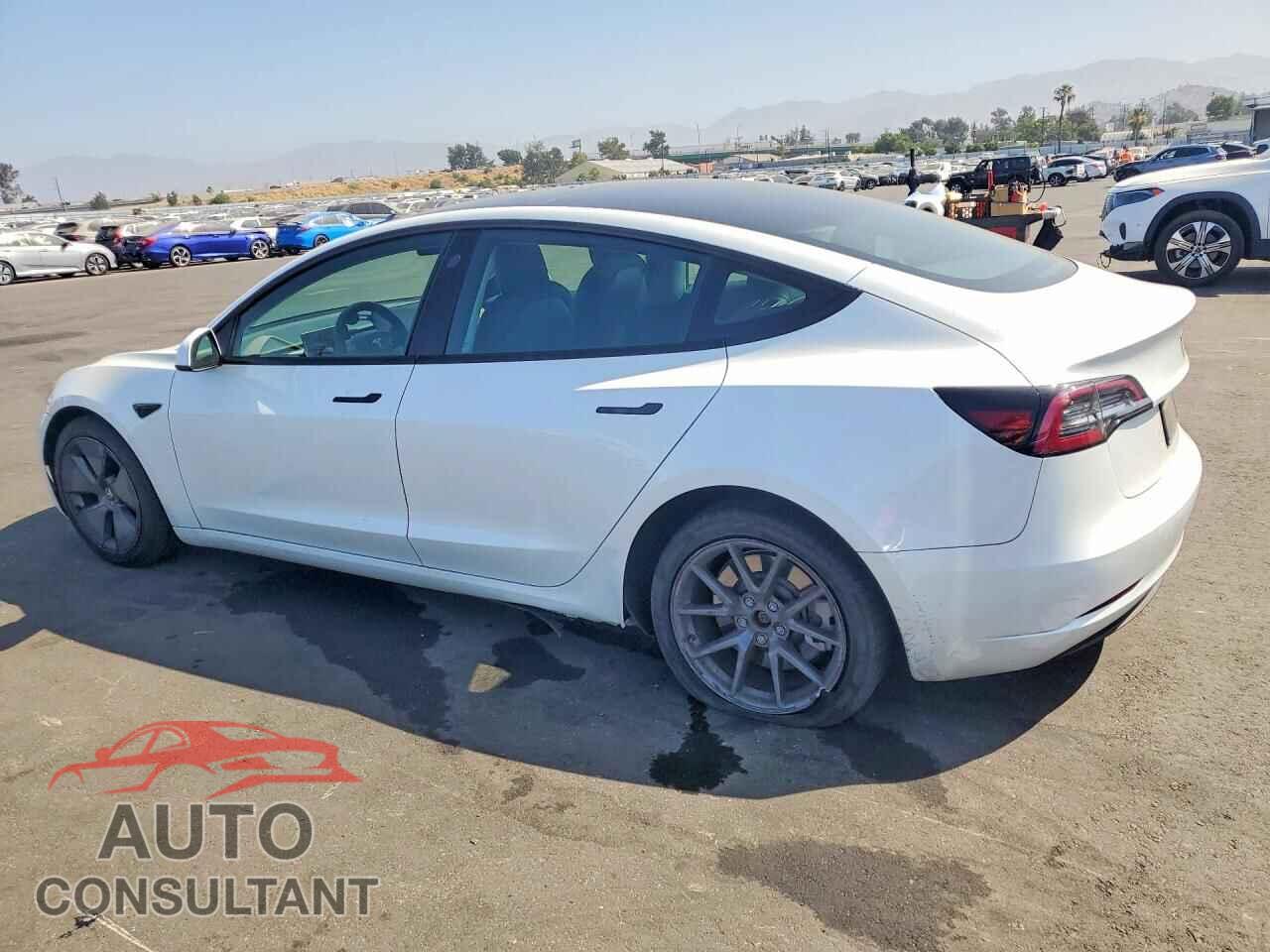 TESLA MODEL 3 2023 - 5YJ3E1EA4PF411029