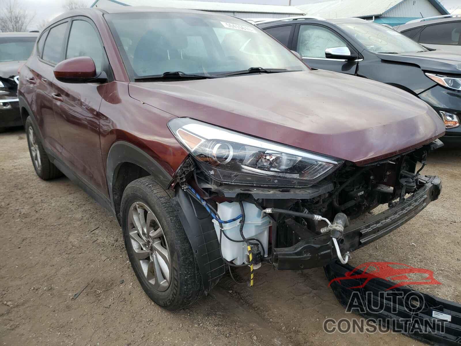 HYUNDAI TUCSON 2017 - KM8J23A44HU393700