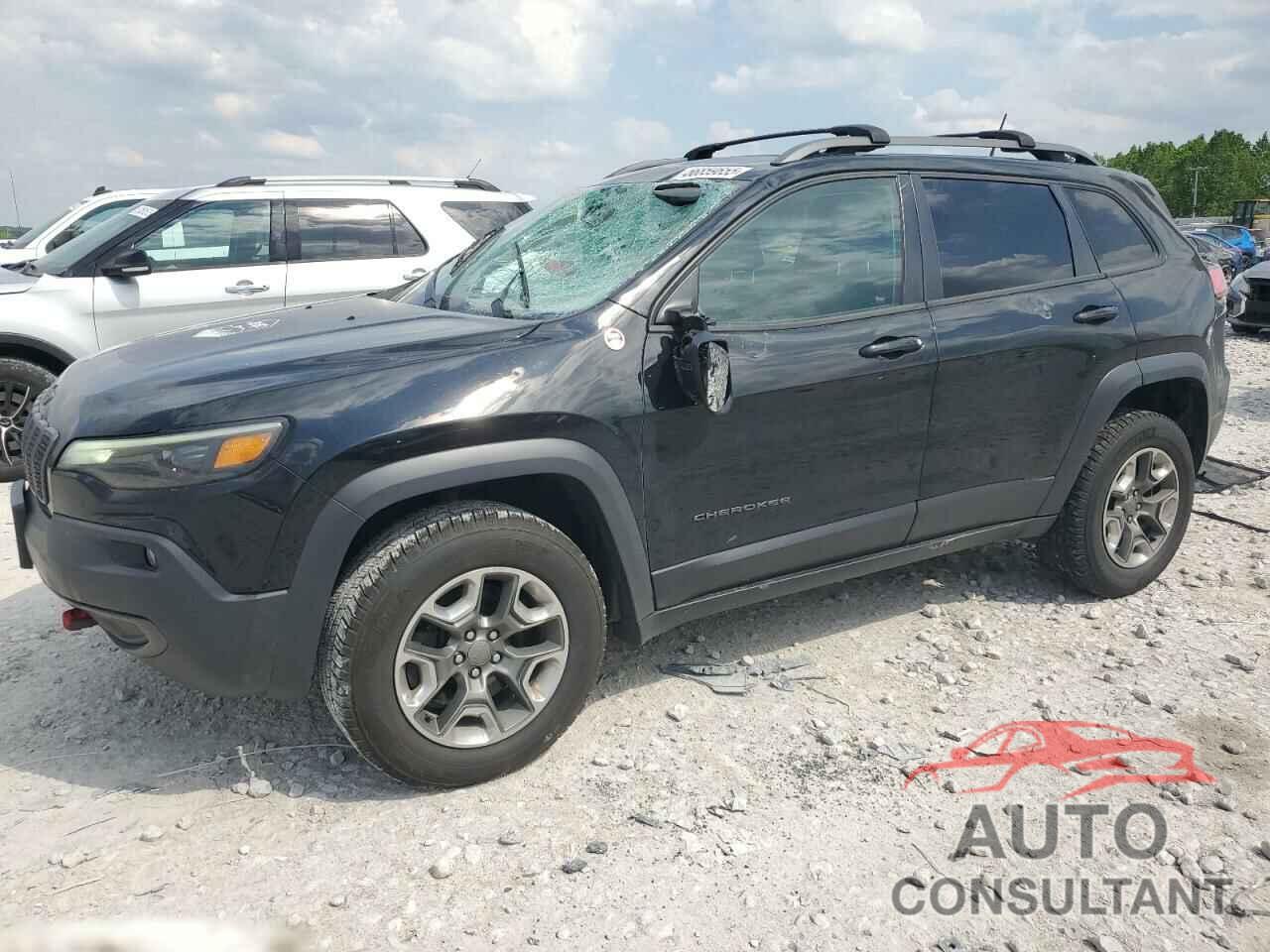 JEEP CHEROKEE 2019 - 1C4PJMBX2KD328612