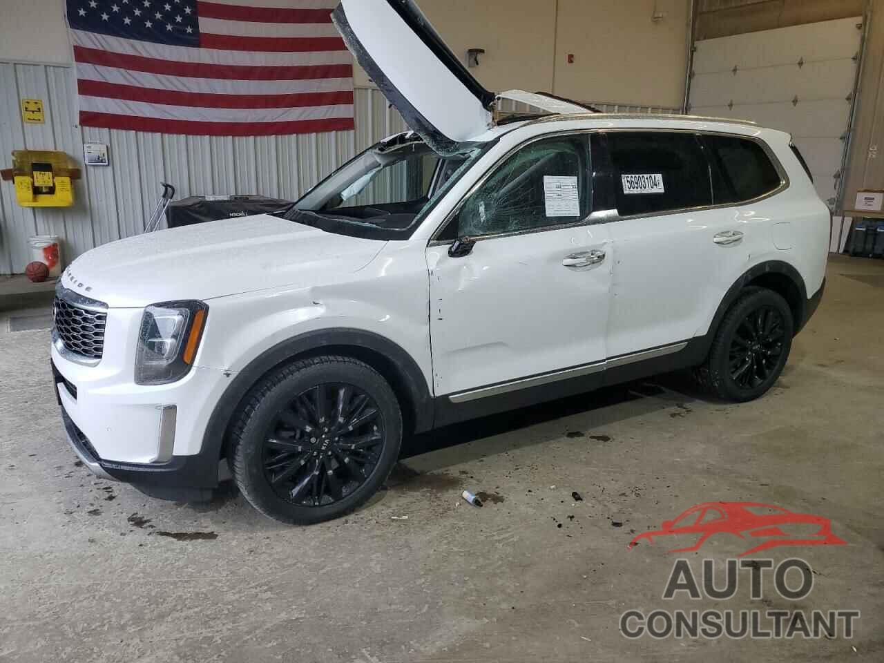 KIA TELLURIDE 2020 - 5XYP5DHCXLG048335