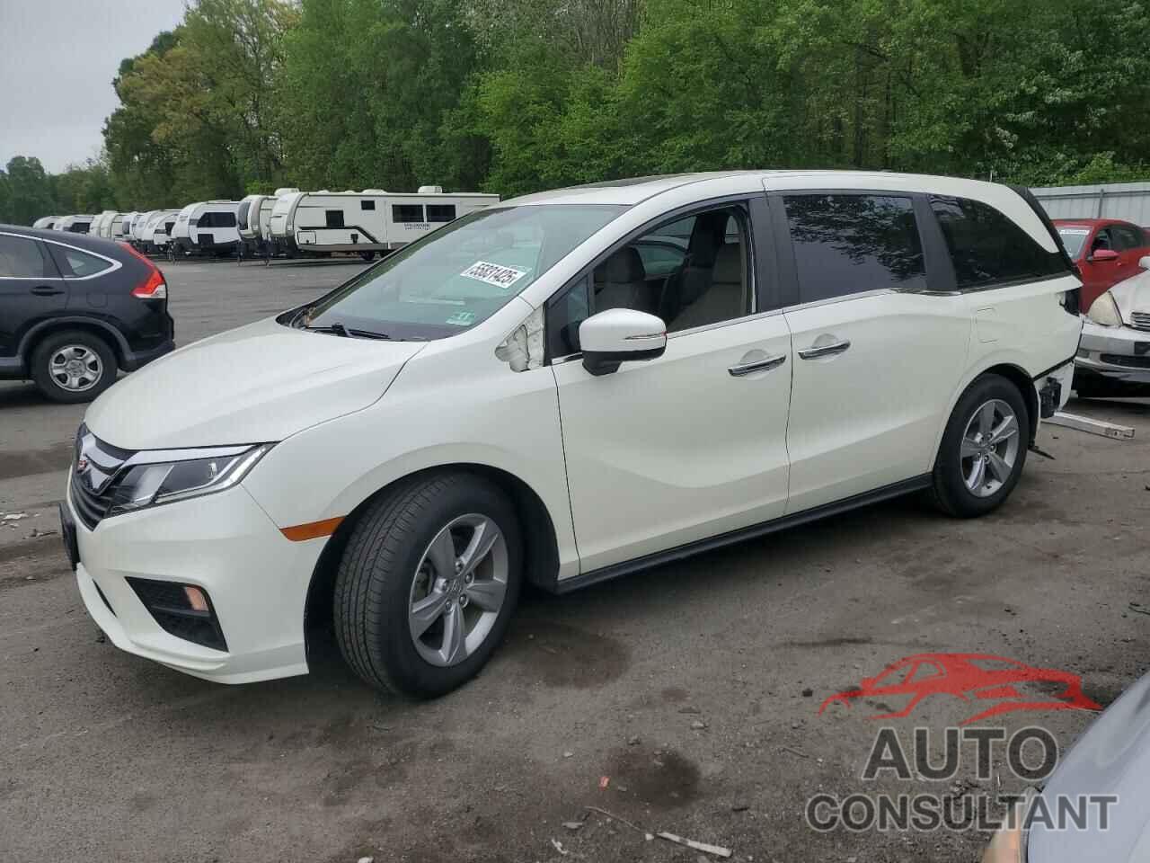 HONDA All Models 2019 - 5FNRL6H72KB020936