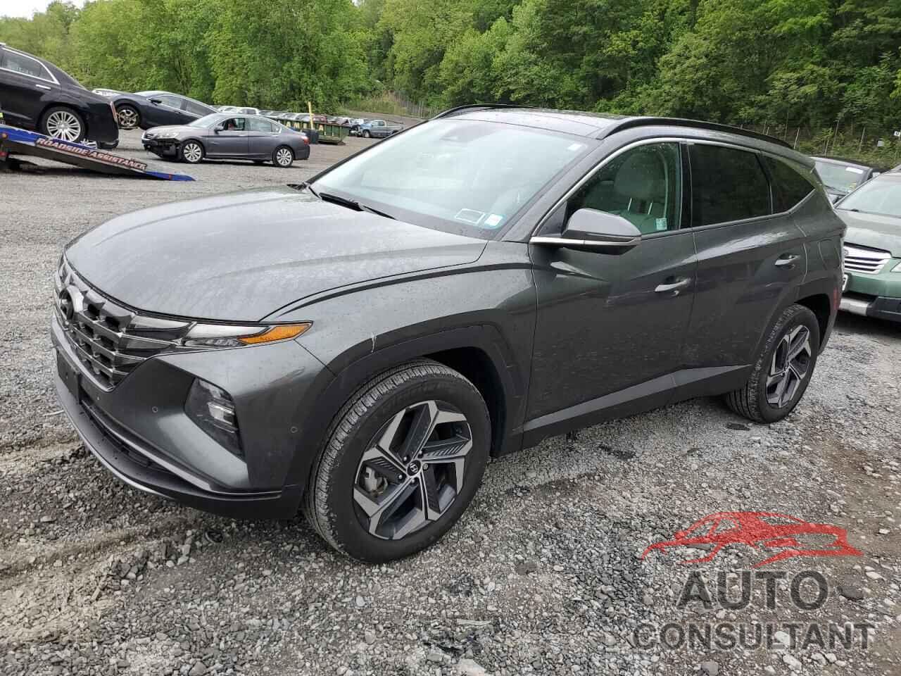 HYUNDAI TUCSON 2024 - KM8JECD10RU238877