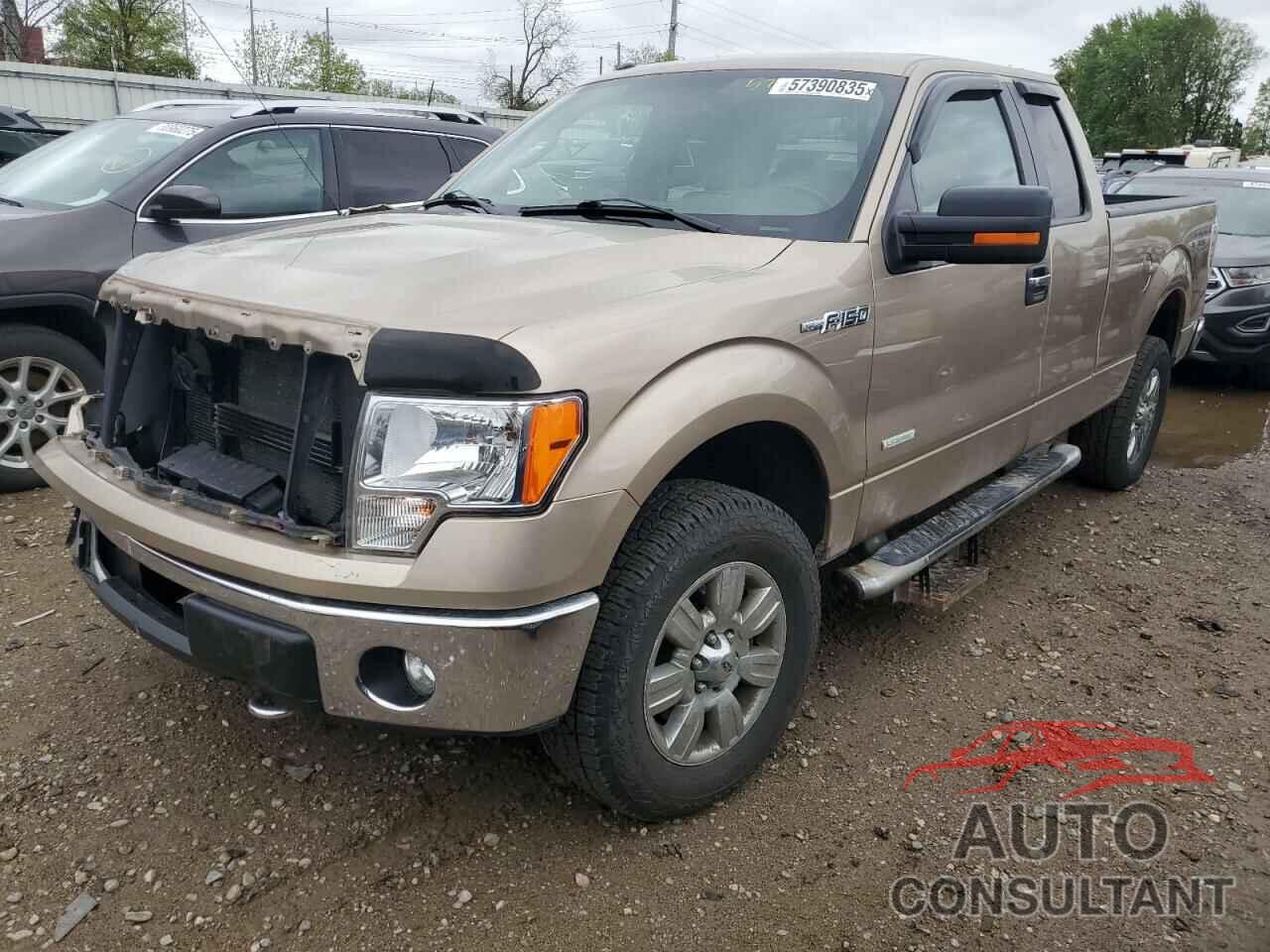 FORD F-150 2012 - 1FTFX1ET8CFA68935