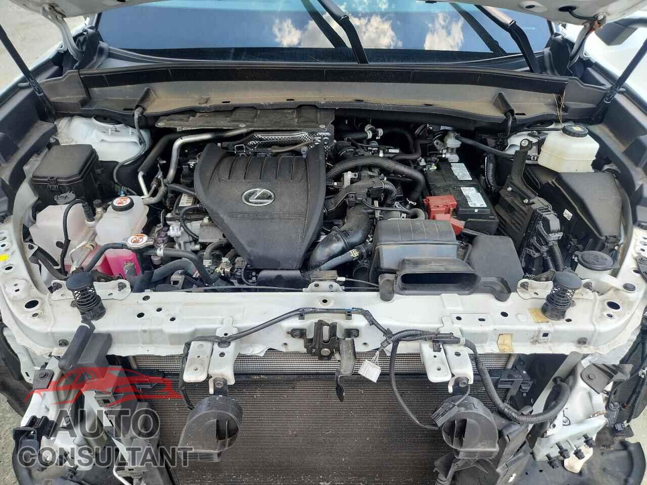 LEXUS UNKNOWN 2024 - 5TDAAAA60RS005784